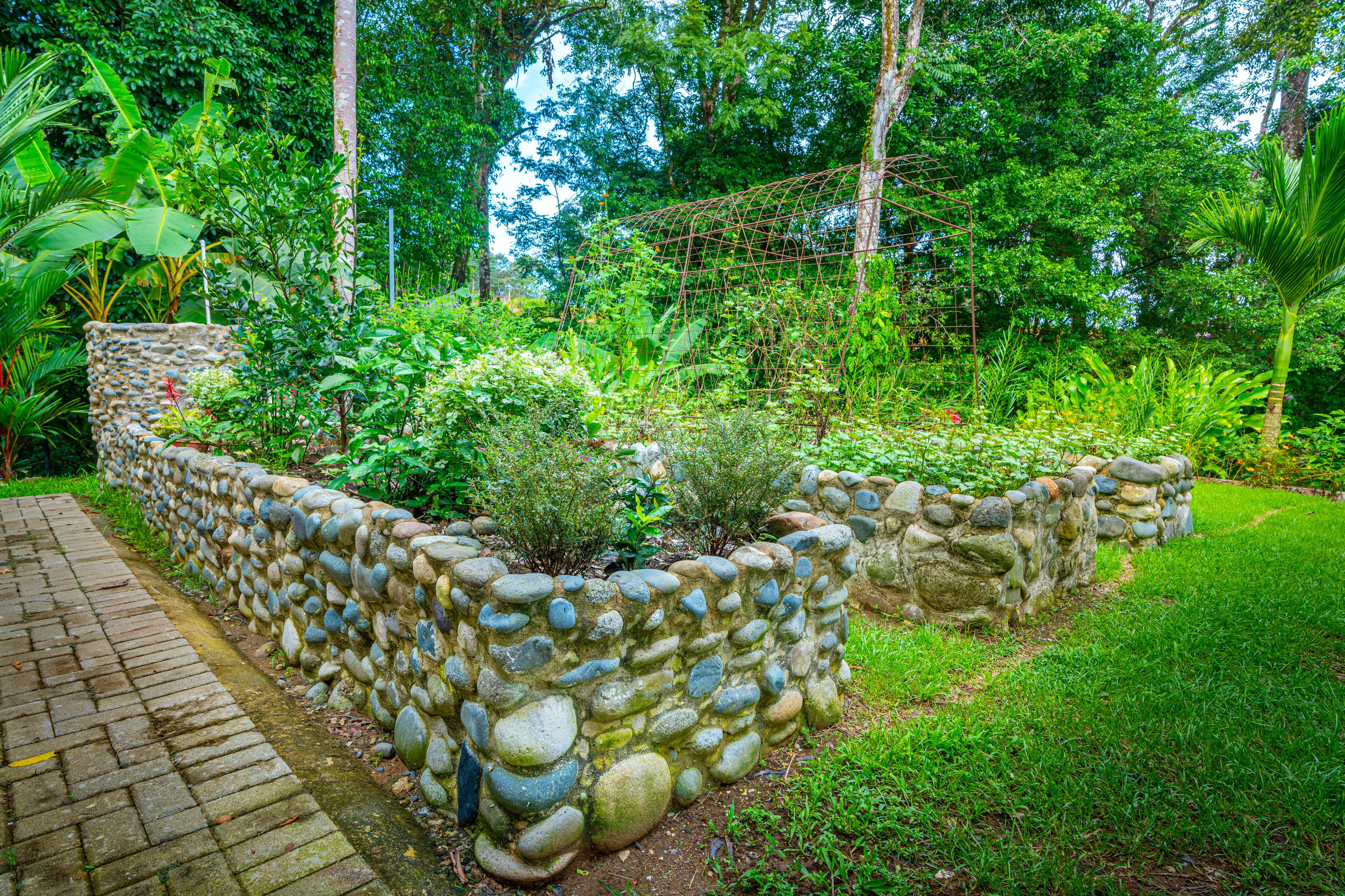 Tropical Homestead in Uvita property photo 3