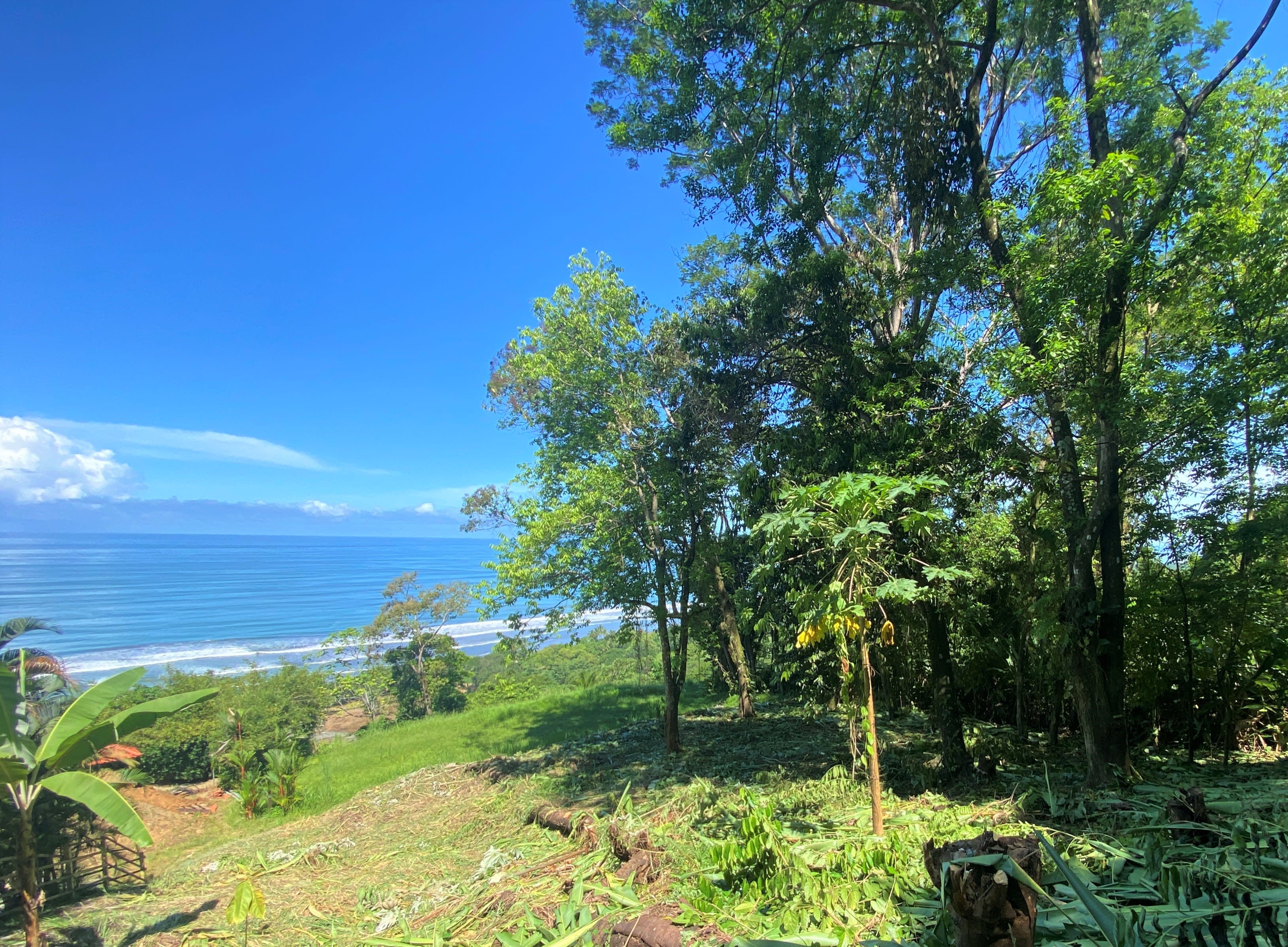 Ocean View Lot in Ayacucho, Dominical property photo 3
