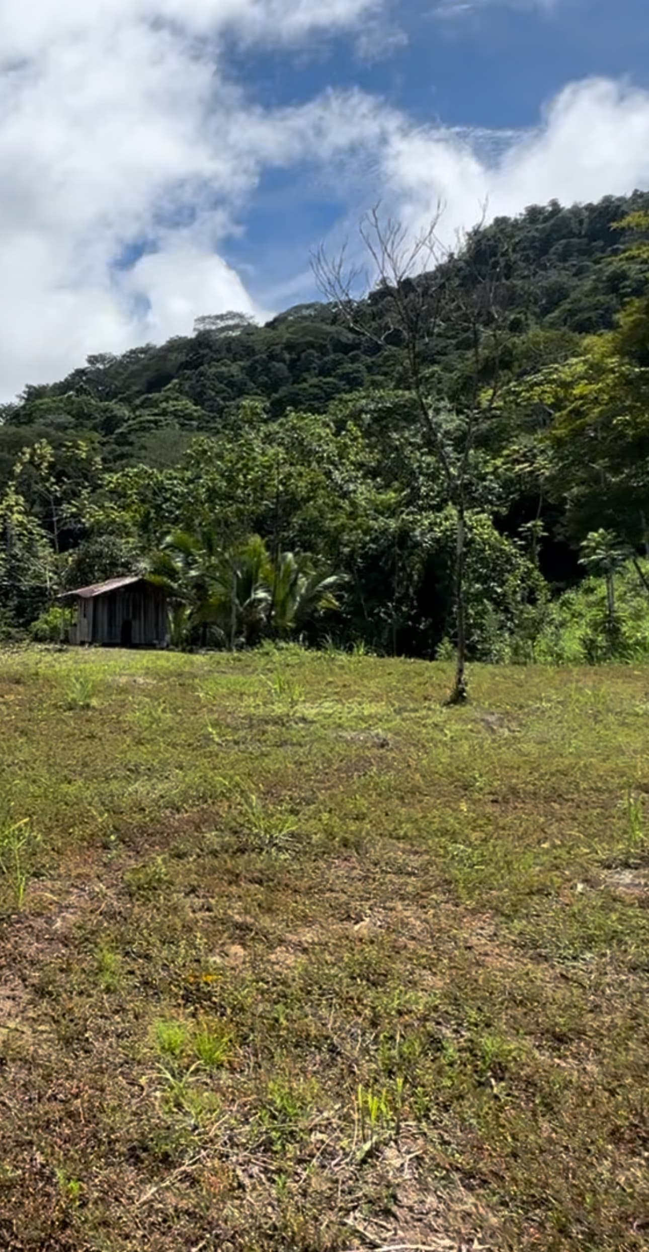 4-Acre Farm with Waterfall in San Josecito, Uvita property photo 3