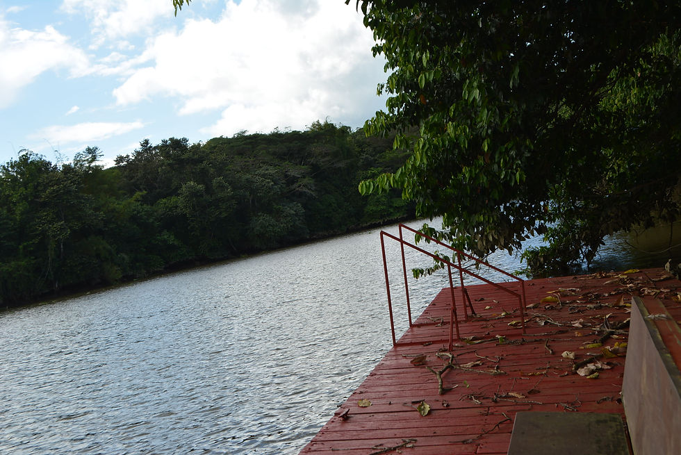 Thumbnail: Riverfront Home in Sierpe | 2 Bed / 2 Bath