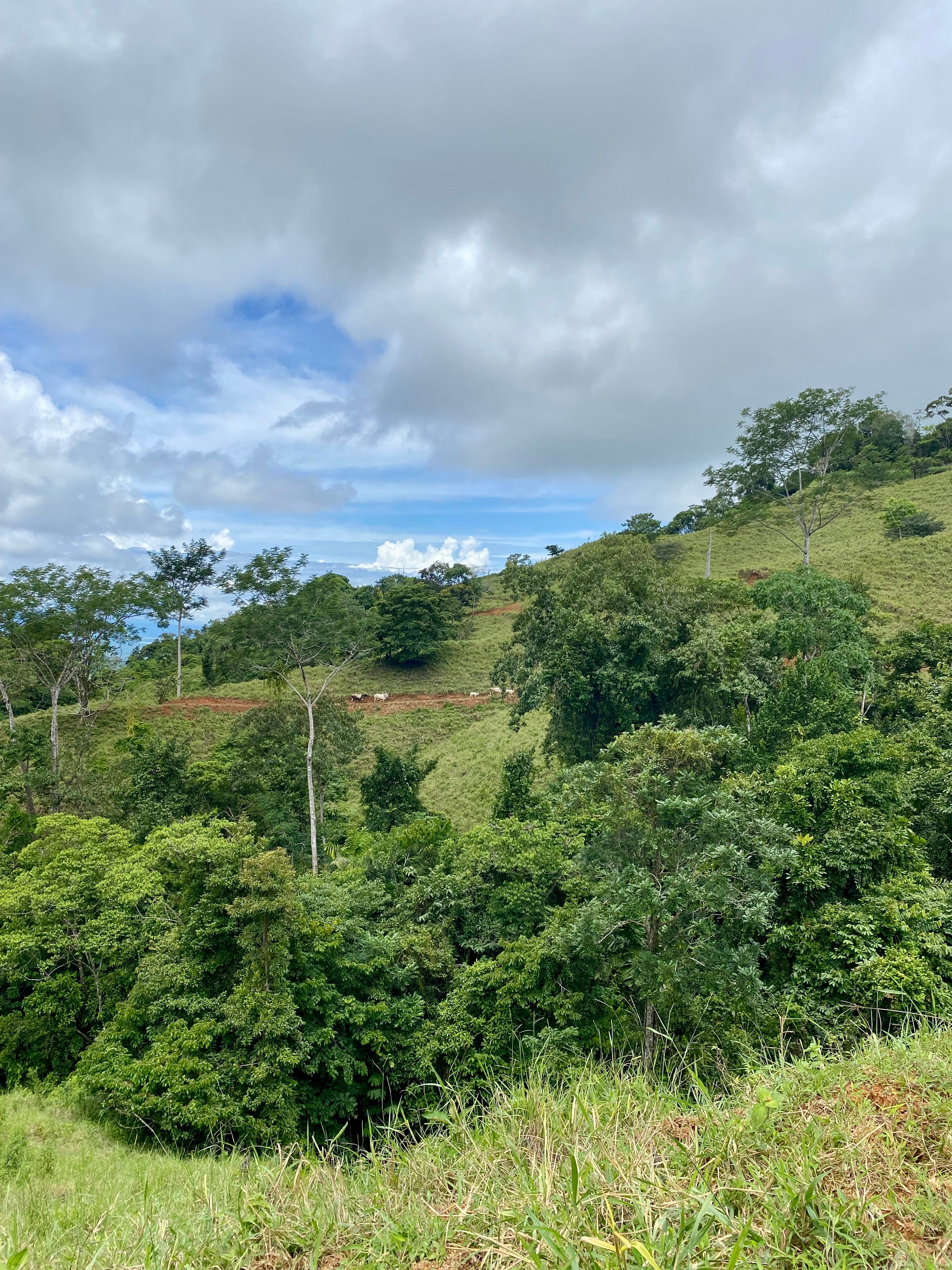 70-Acre Waterfall Land Near Ojochal property photo 5