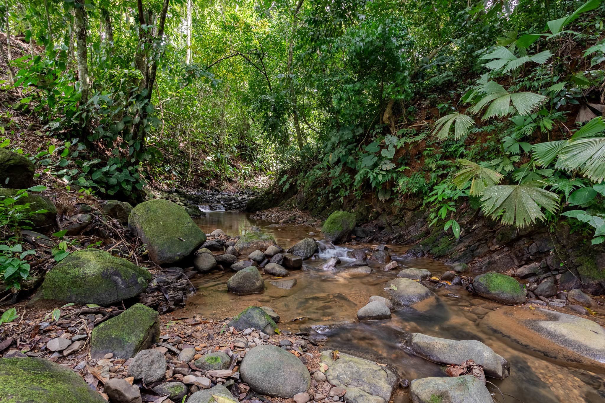 Riverfront Home (Casa Casario) in Uvita property photo 3
