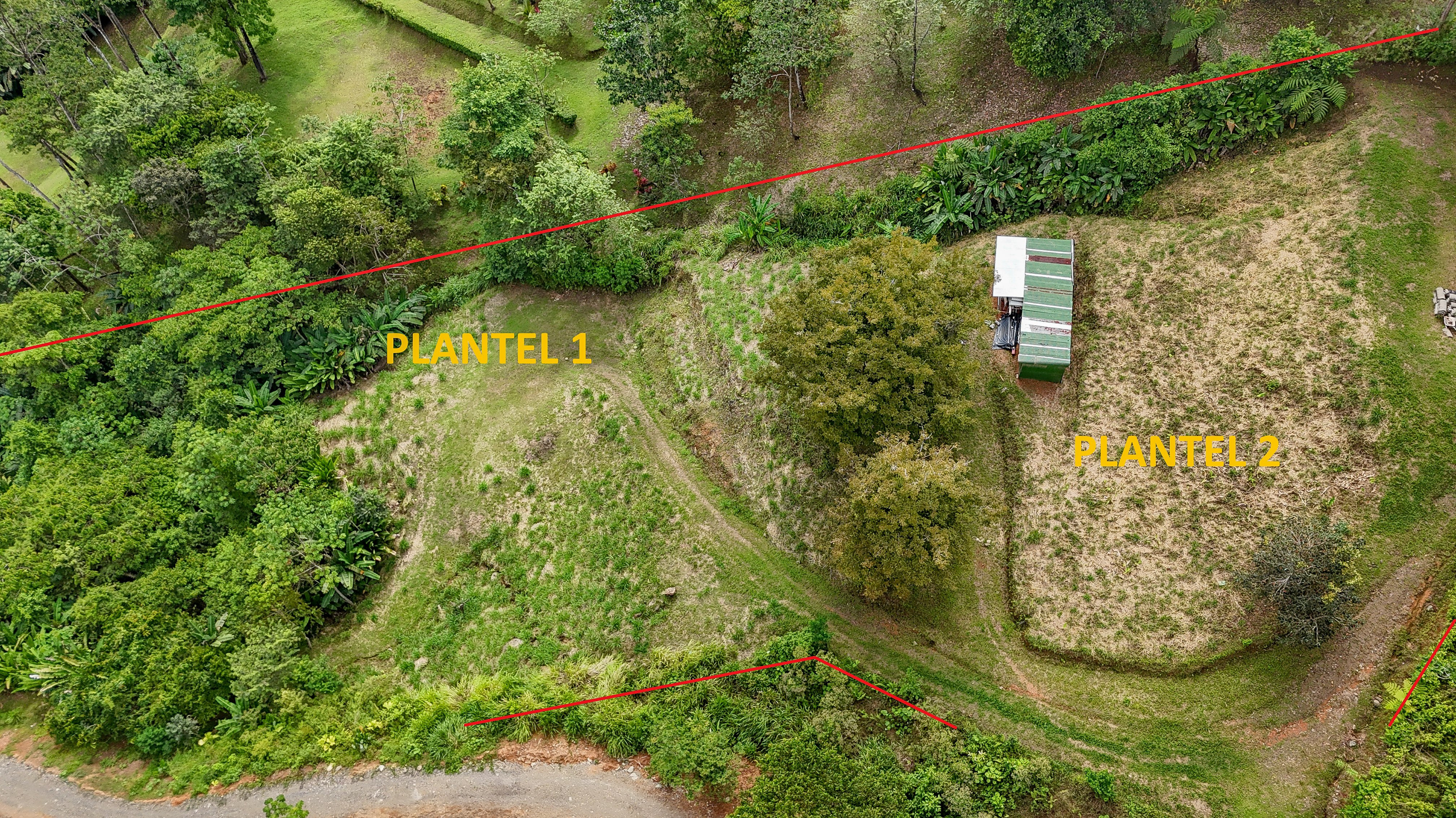 Luxury Jungle Home in La Union, Near Uvita property photo 2