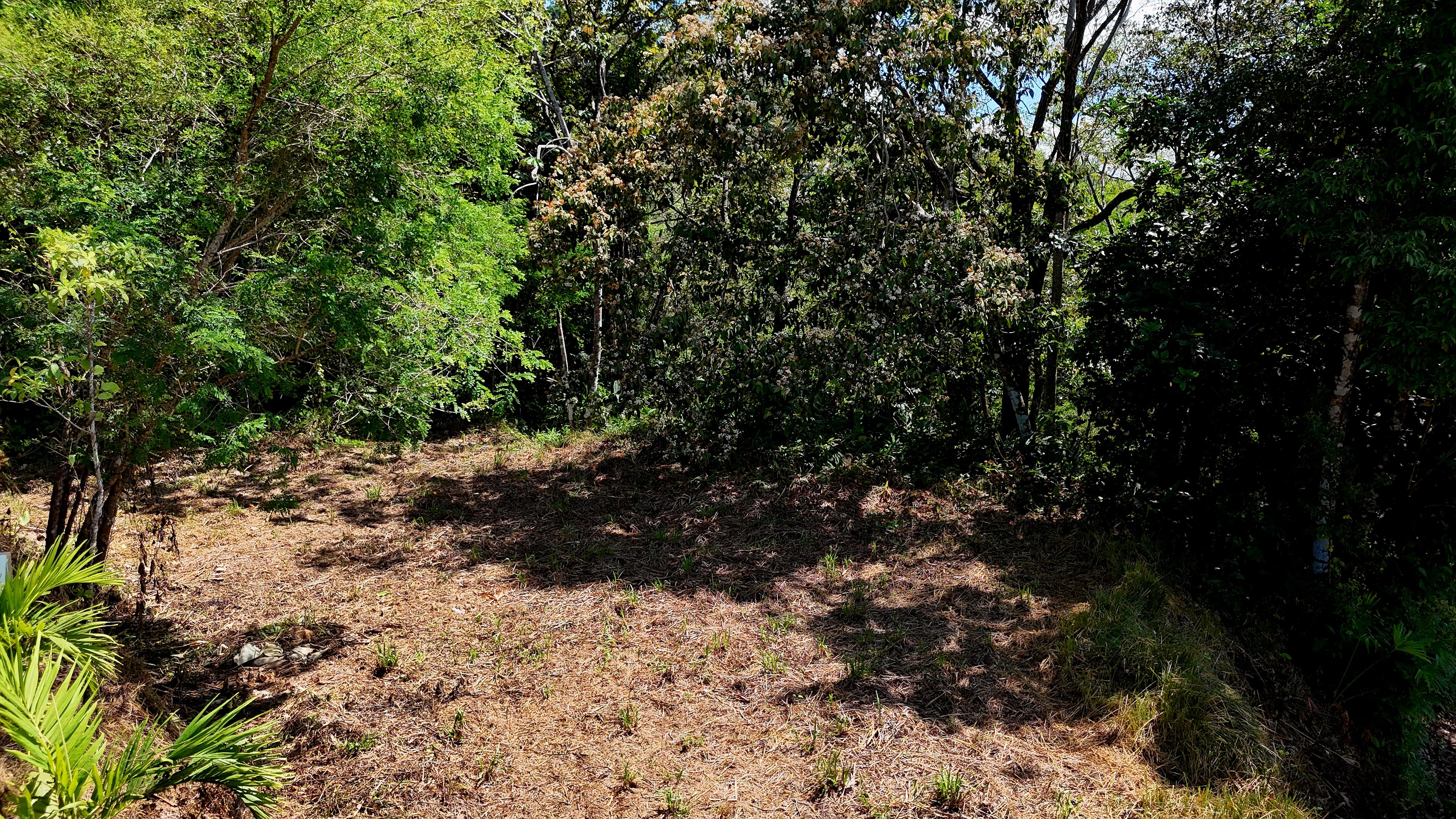 Ocean View Land in Hatillo property photo 4