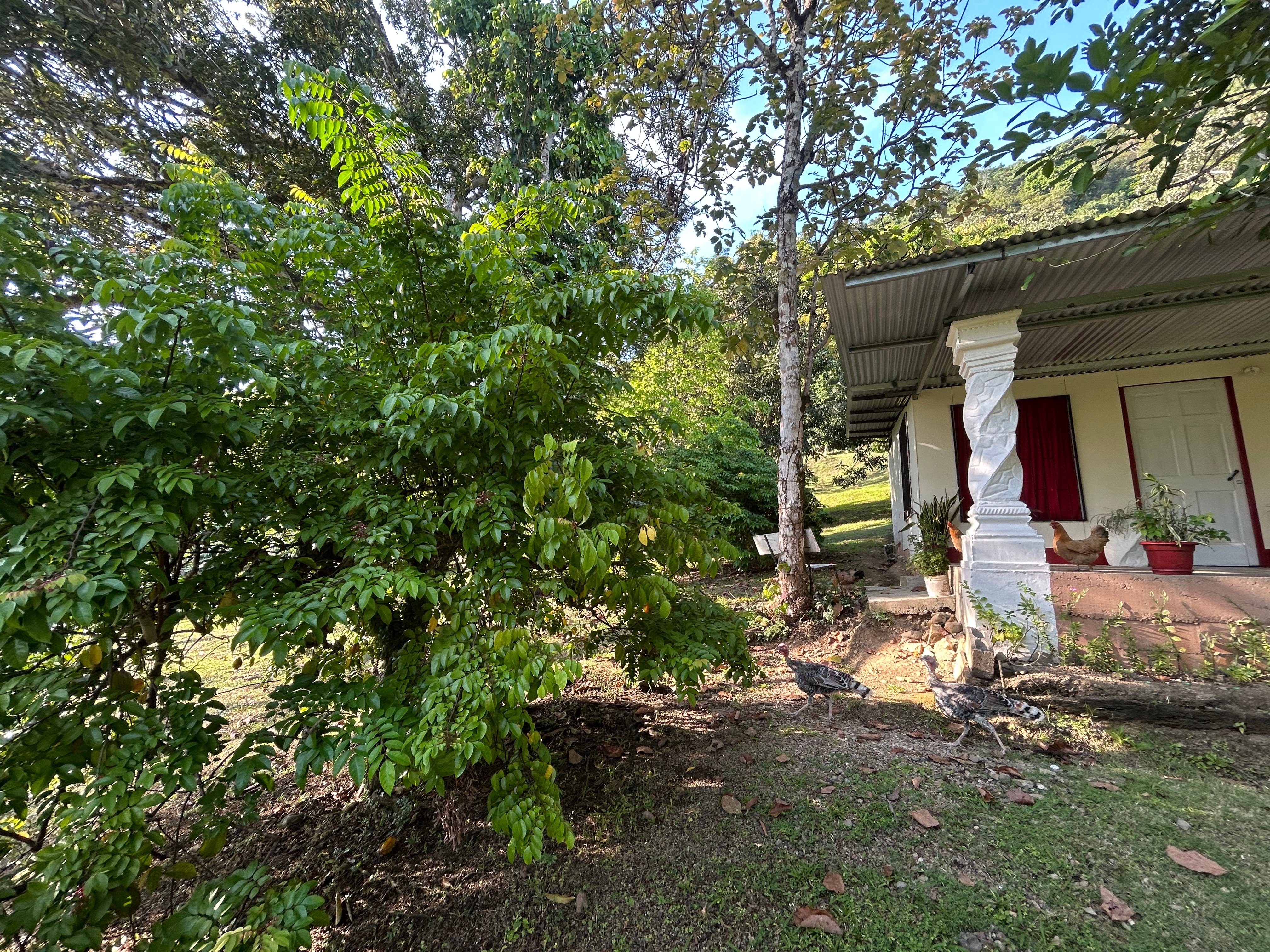 Mixed-Use Property in Punta Mala, Ojochal property photo 2