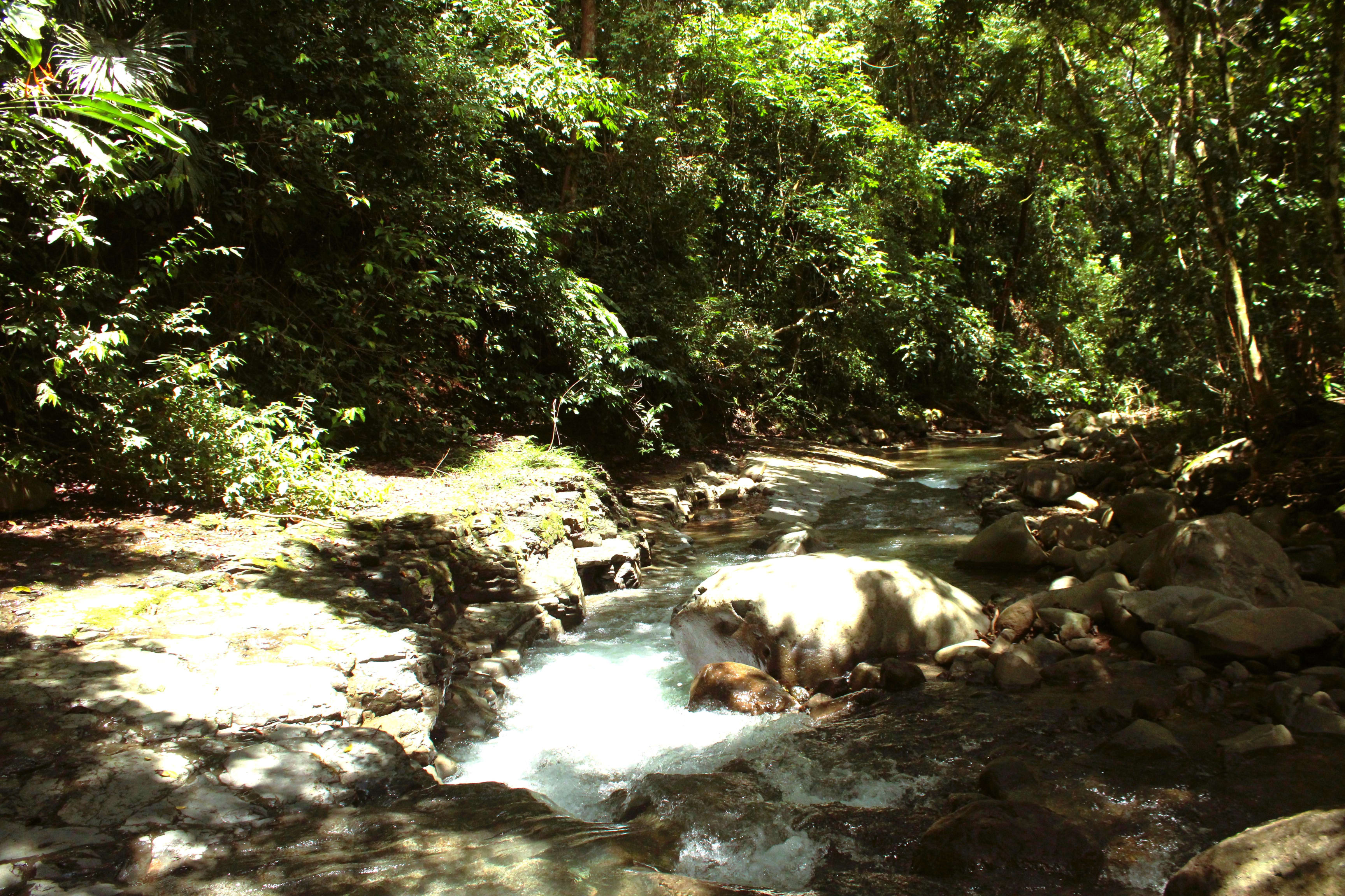 55-Acre Farm in Chontales, Near Ojochal property photo 5