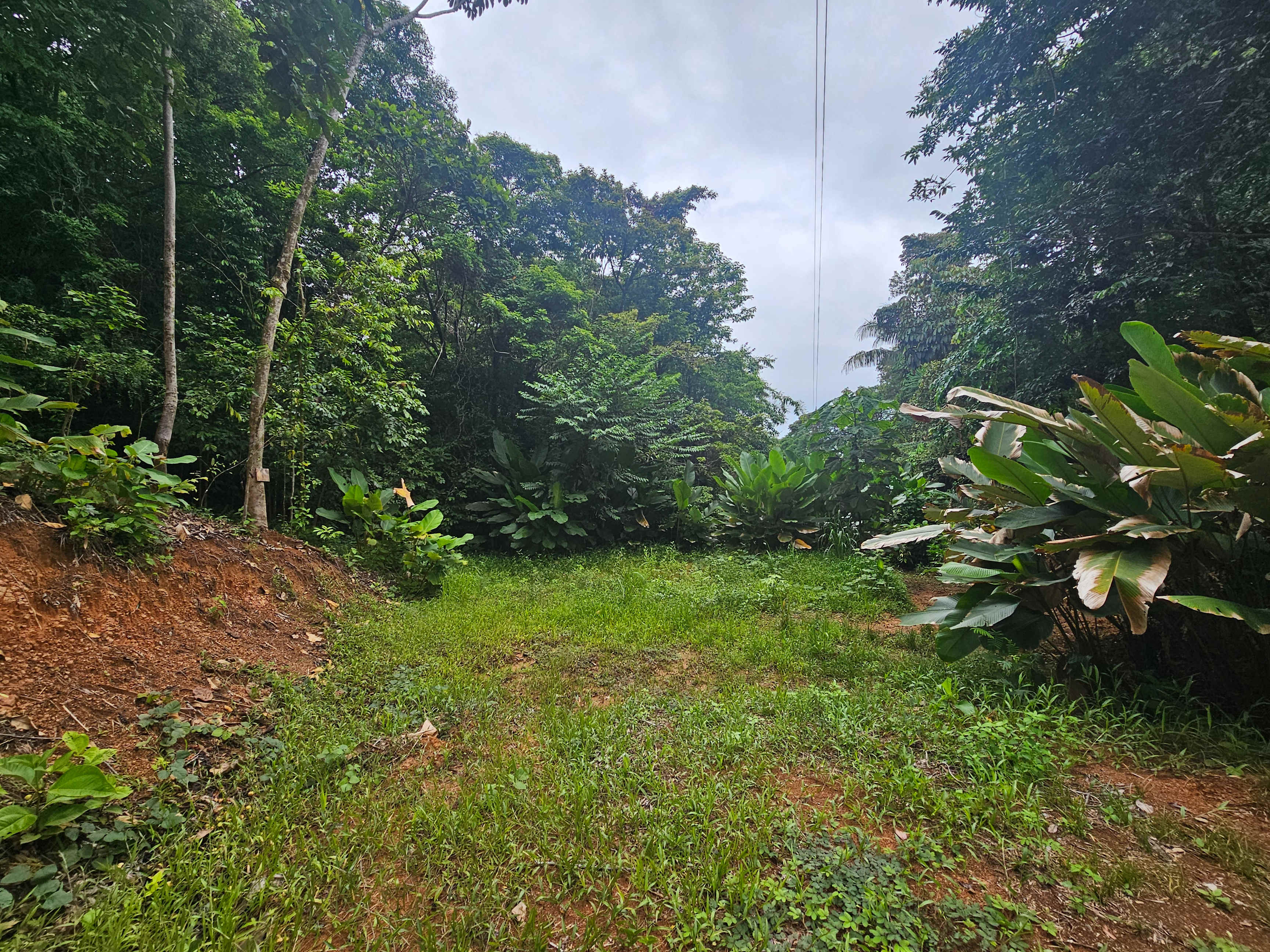 Building Lot Near Playa Hermosa, Uvita property photo 4