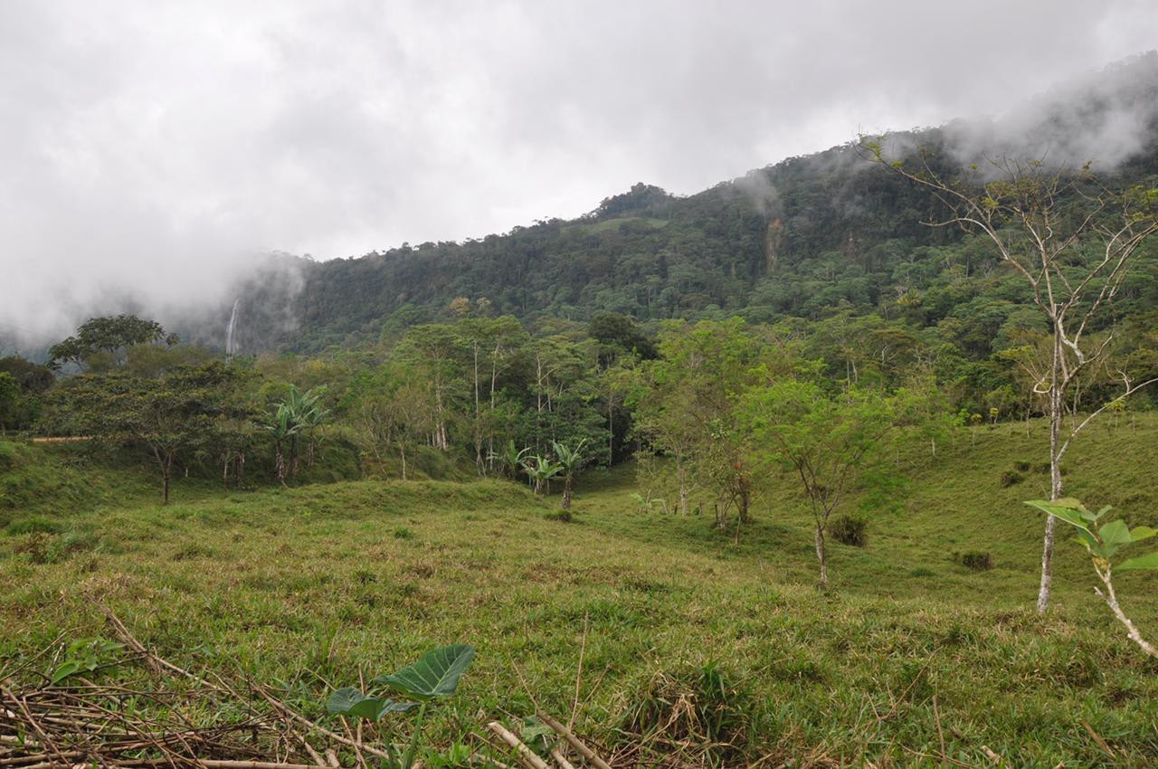 Waterfall View Farm Near Uvita property photo 3