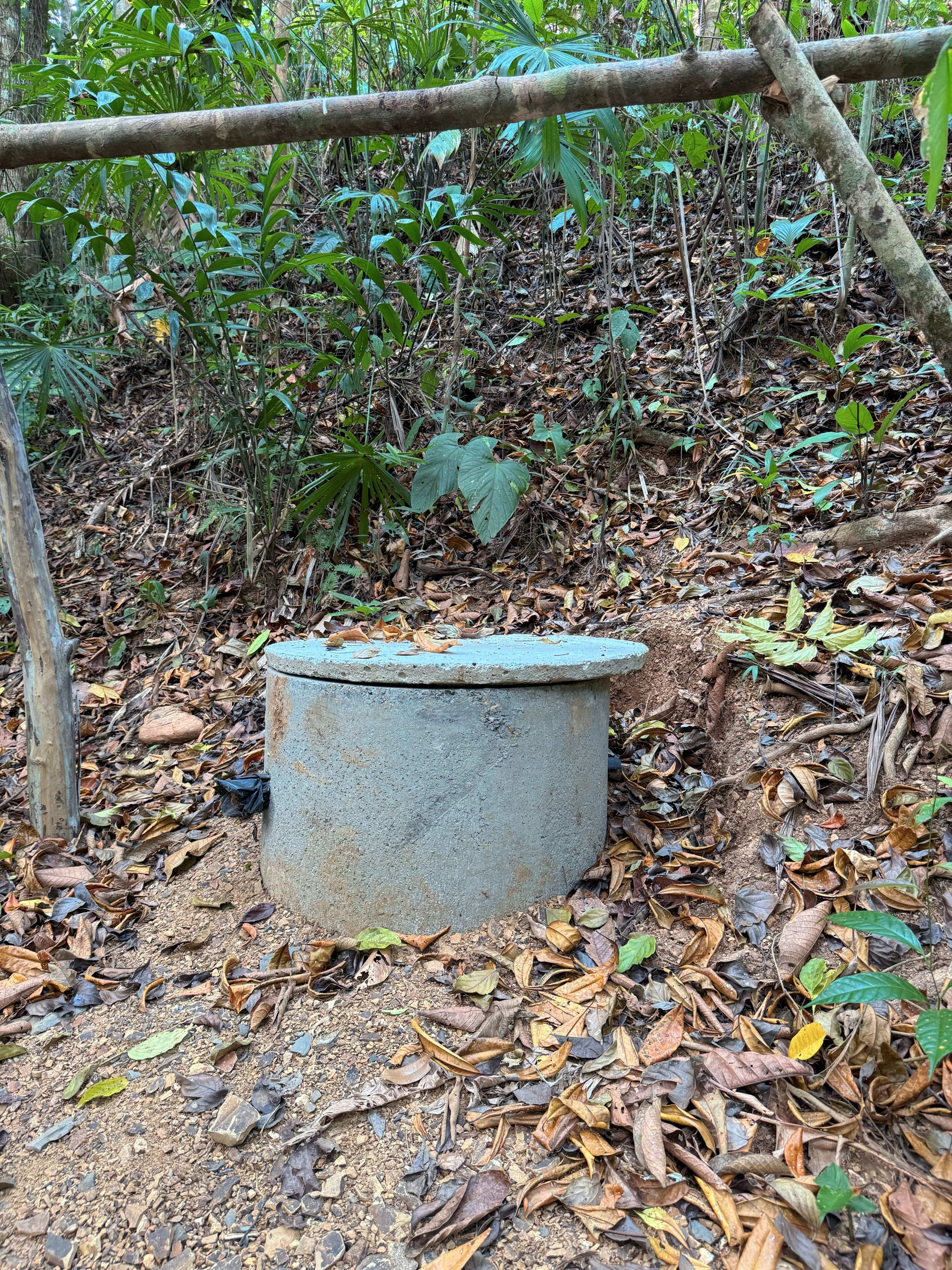 2-Acre Building Lot in Platanillo property photo 4