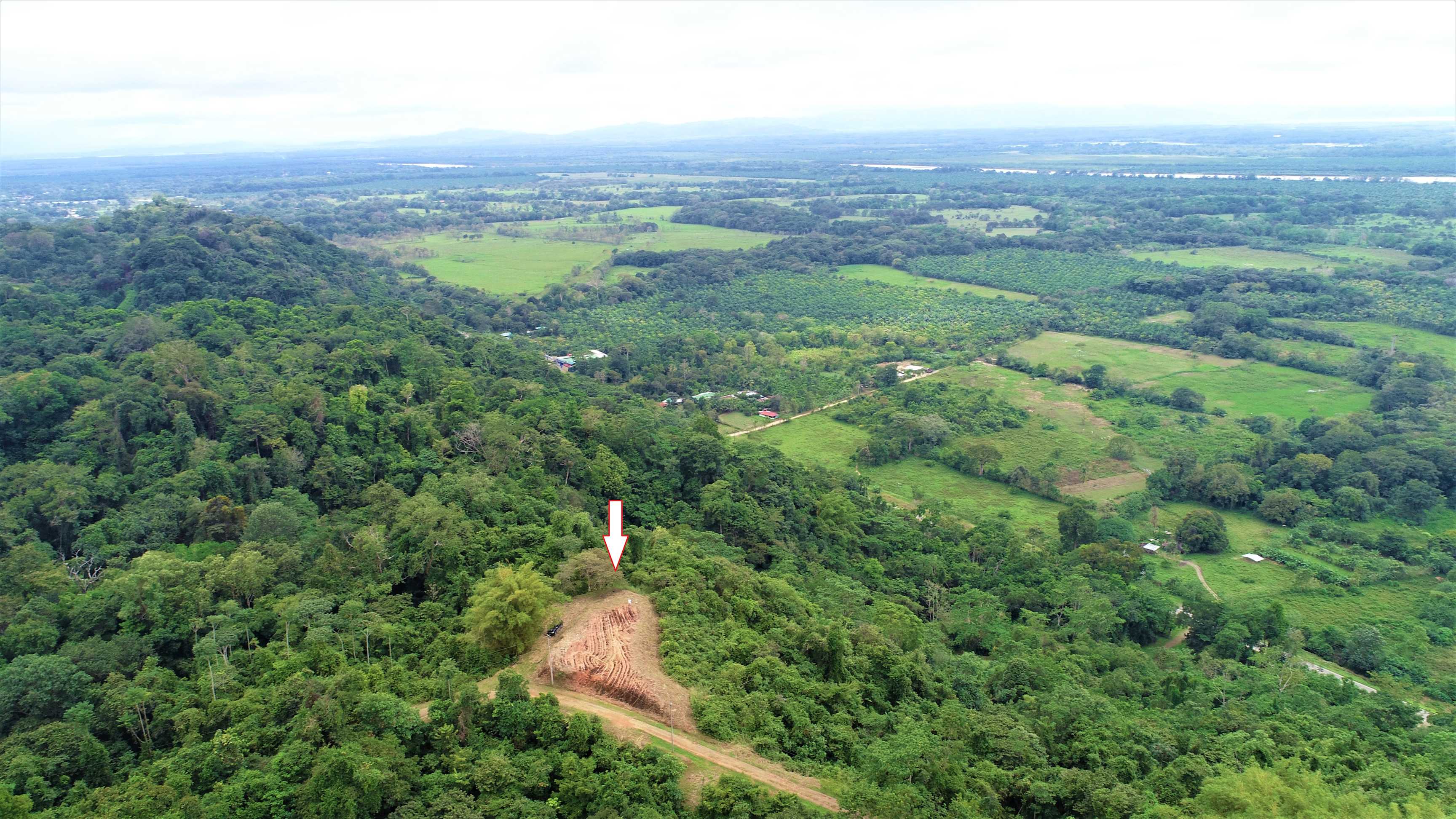 9-Acre Development Land Between Ojochal and Cortez property photo 2