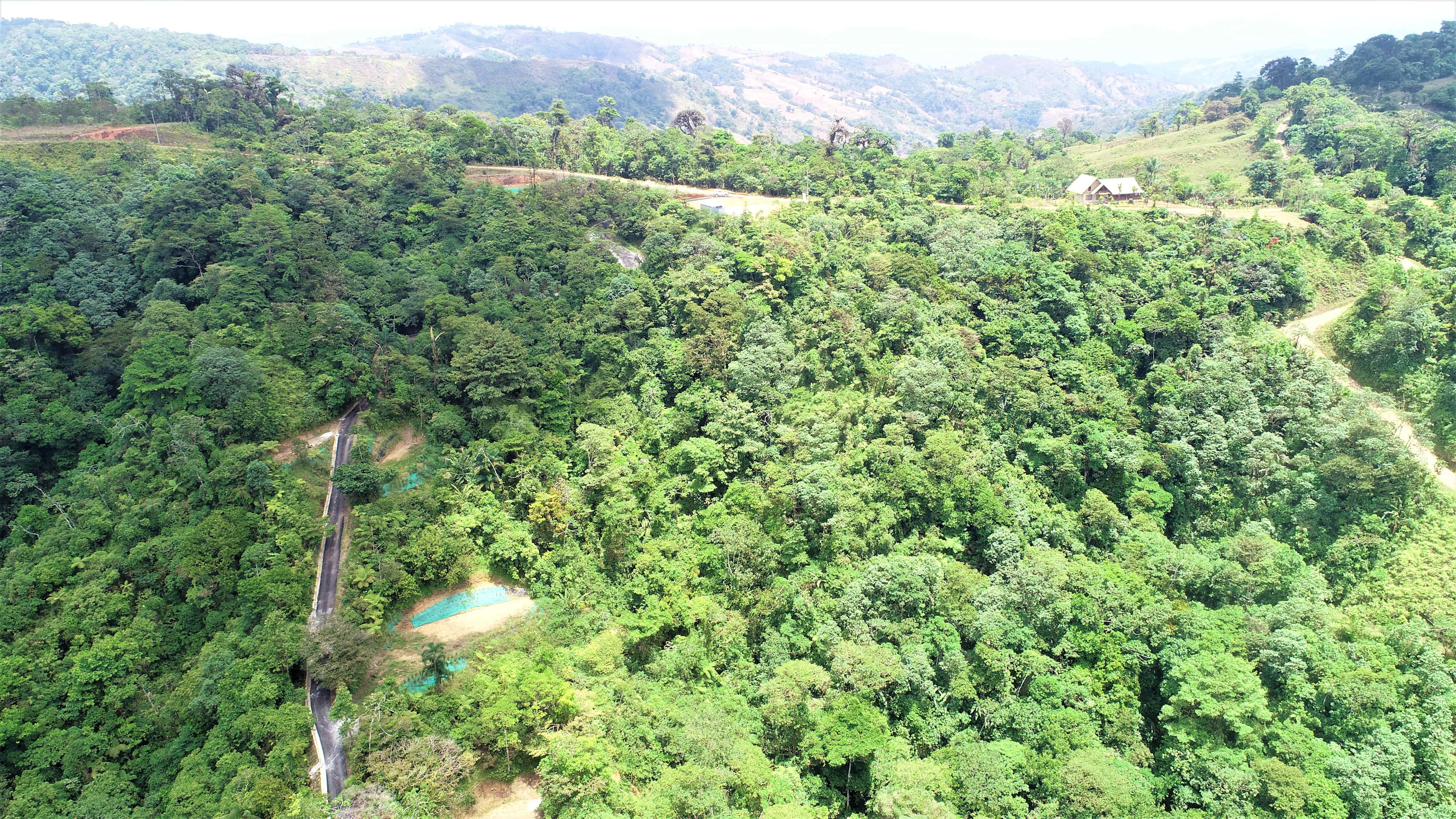 60-Acre Development Farm Between Ojochal and Pejibaye property photo 5
