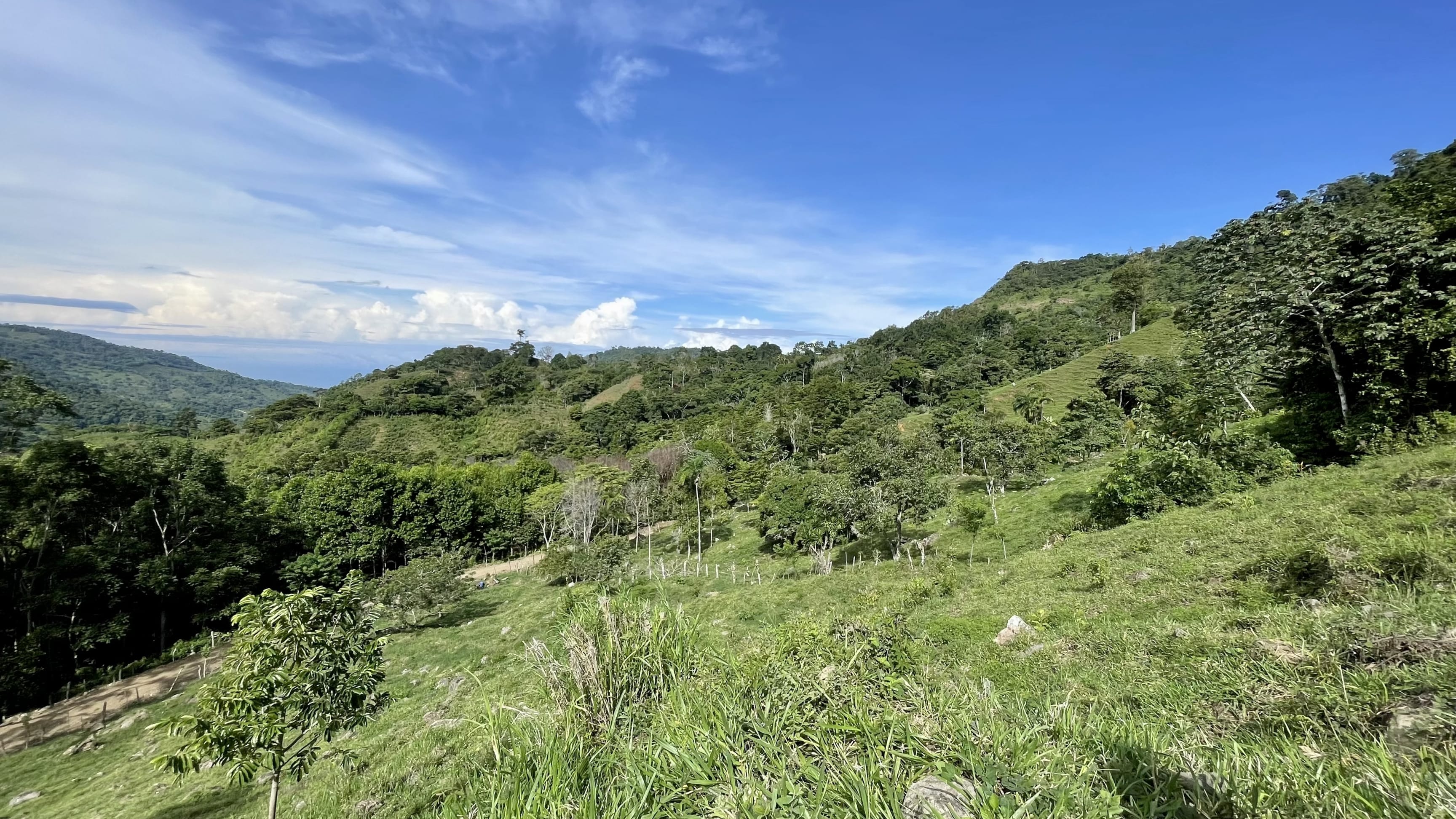 23-Acre Ocean View Farm in San Luis de Morete property photo 2