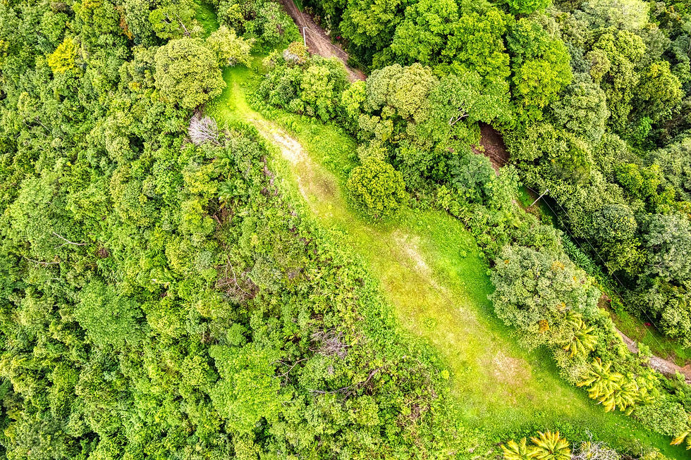 Thumbnail: Development Land in Coronado | 4 Lots with Ocean & Jungle Views