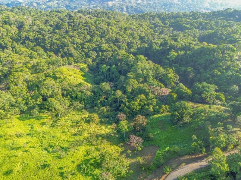 55-Acre Private Farm in Escaleras, Above Dominical property photo 5