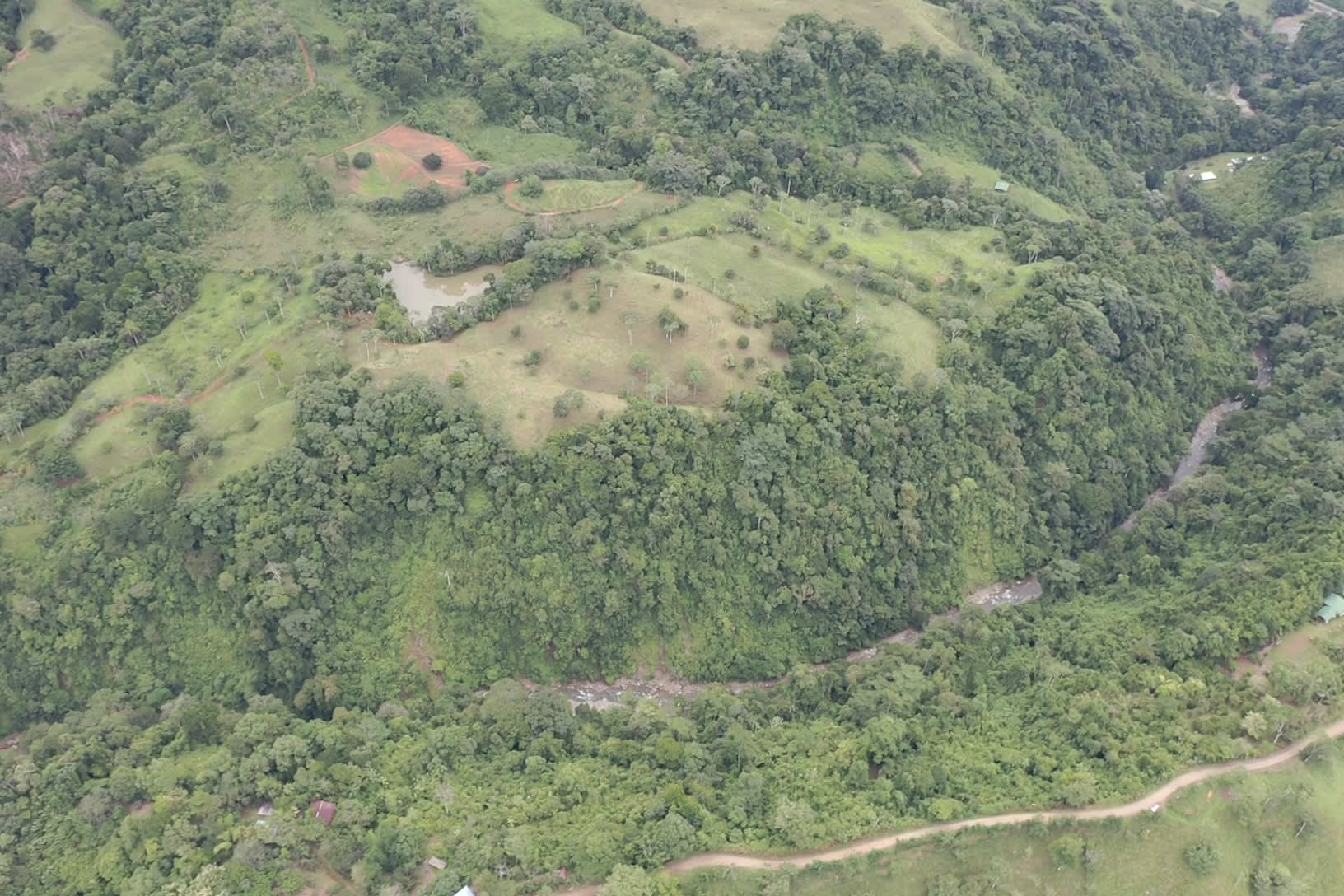 84-Acre Farm on the Rio Morenos, Near Platanillo property photo 5