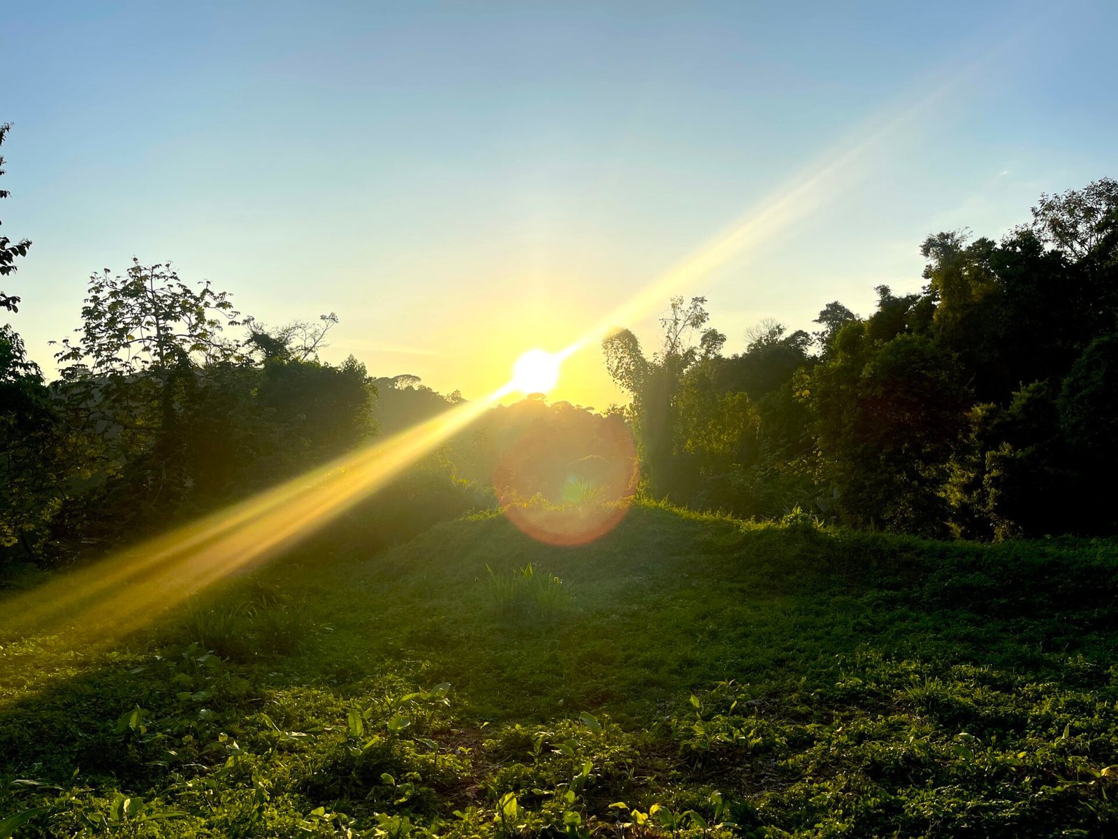 4.76-Acre Ocean View Land in Lagunas, Near Dominical property photo 5