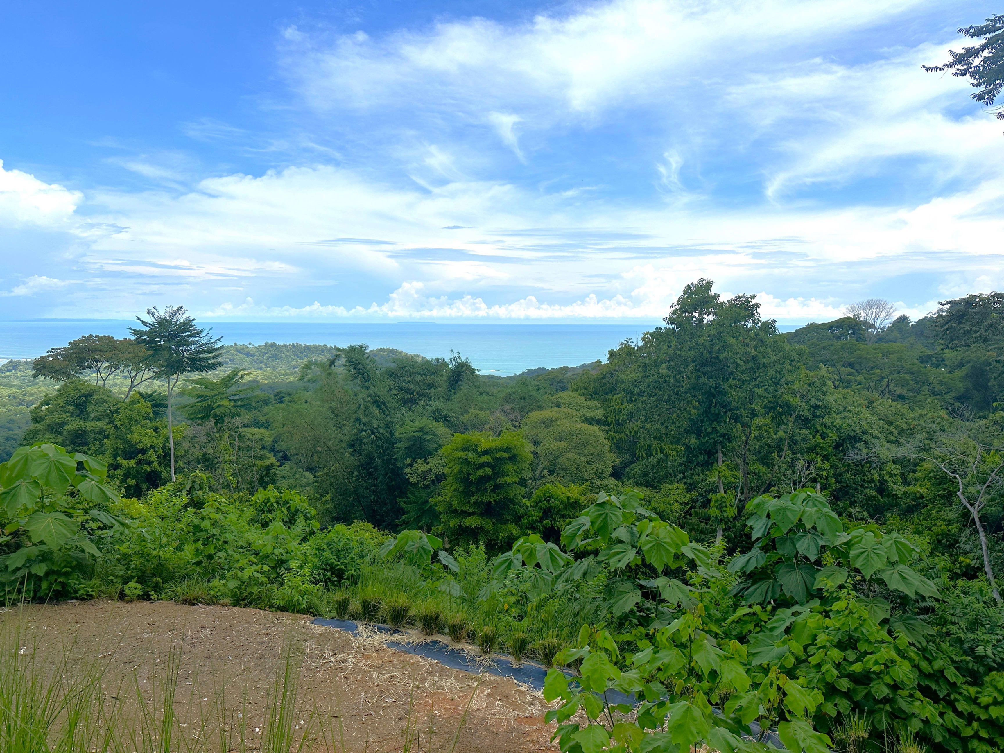11.24-Acre Development Land in Cinco Ventanas, Ojochal property photo 5