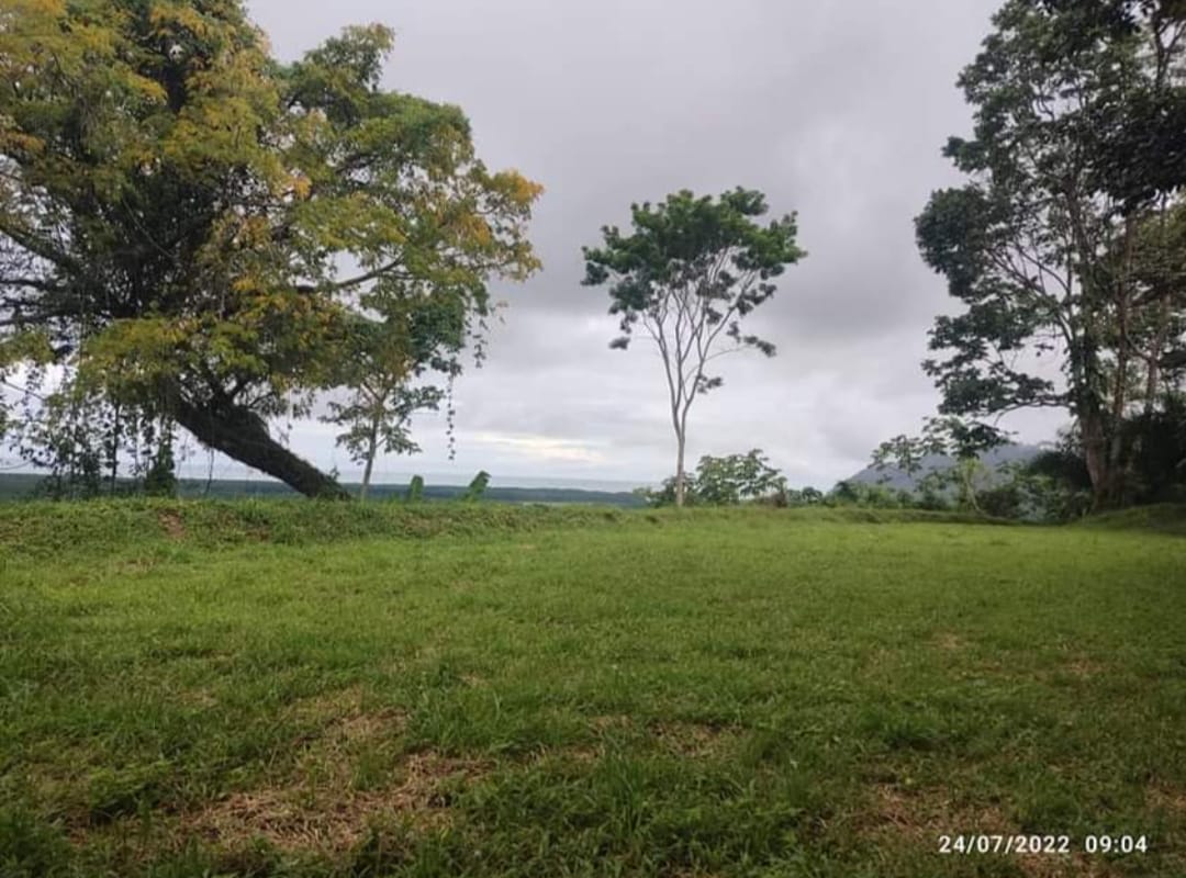 Ocean View Land in Ojochal property photo 5