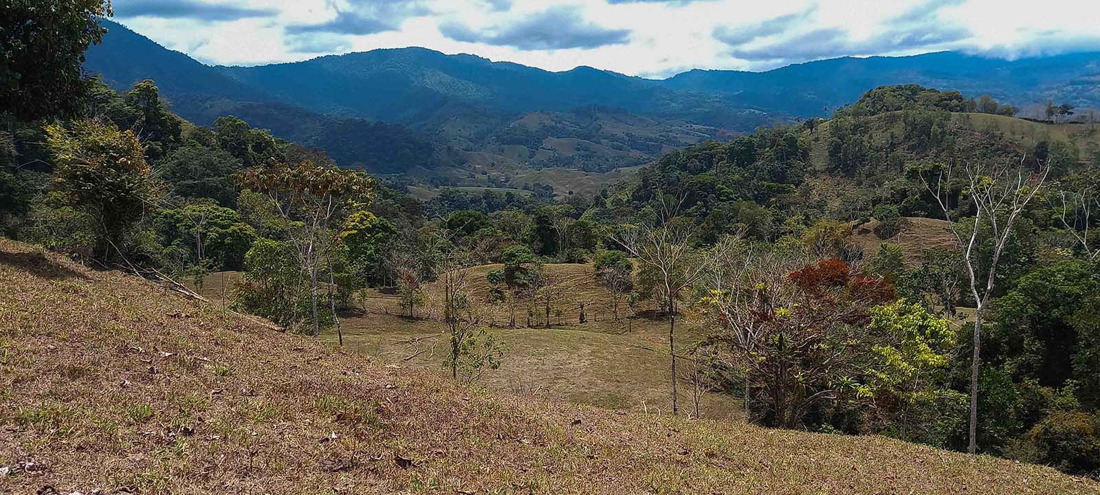 84-Acre Farm on the Rio Morenos, Near Platanillo property photo 4