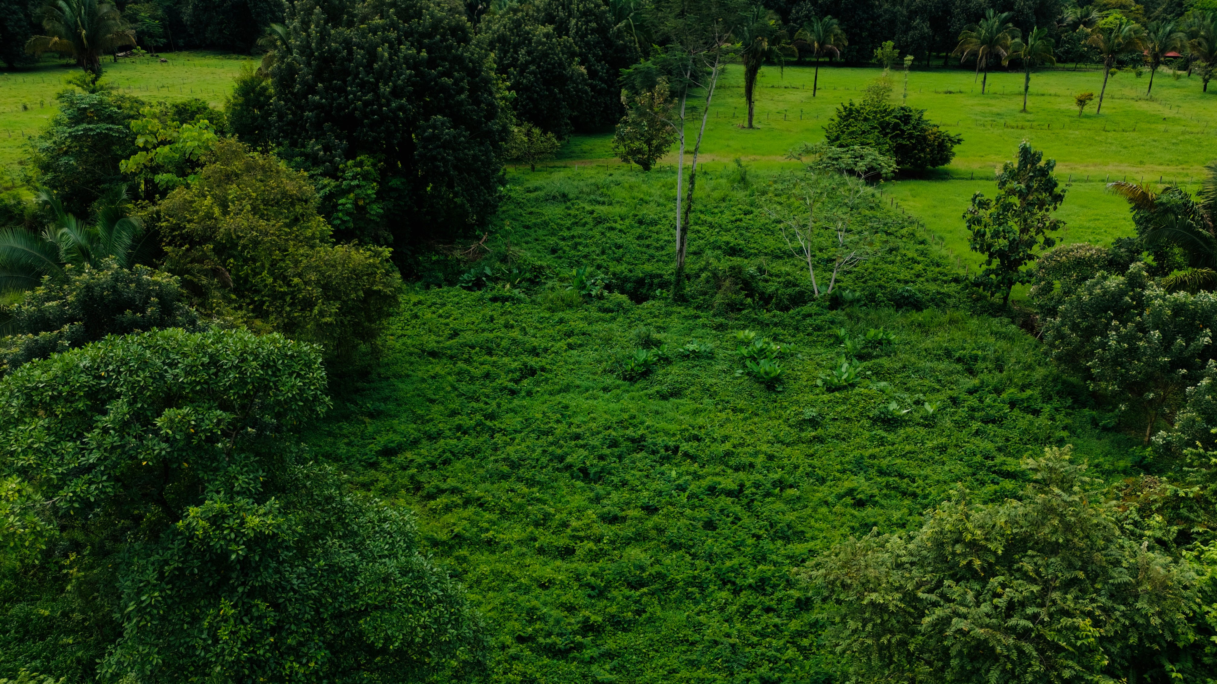 Commercial Land on Uvita’s Main Highway in Uvita, Costa Rica