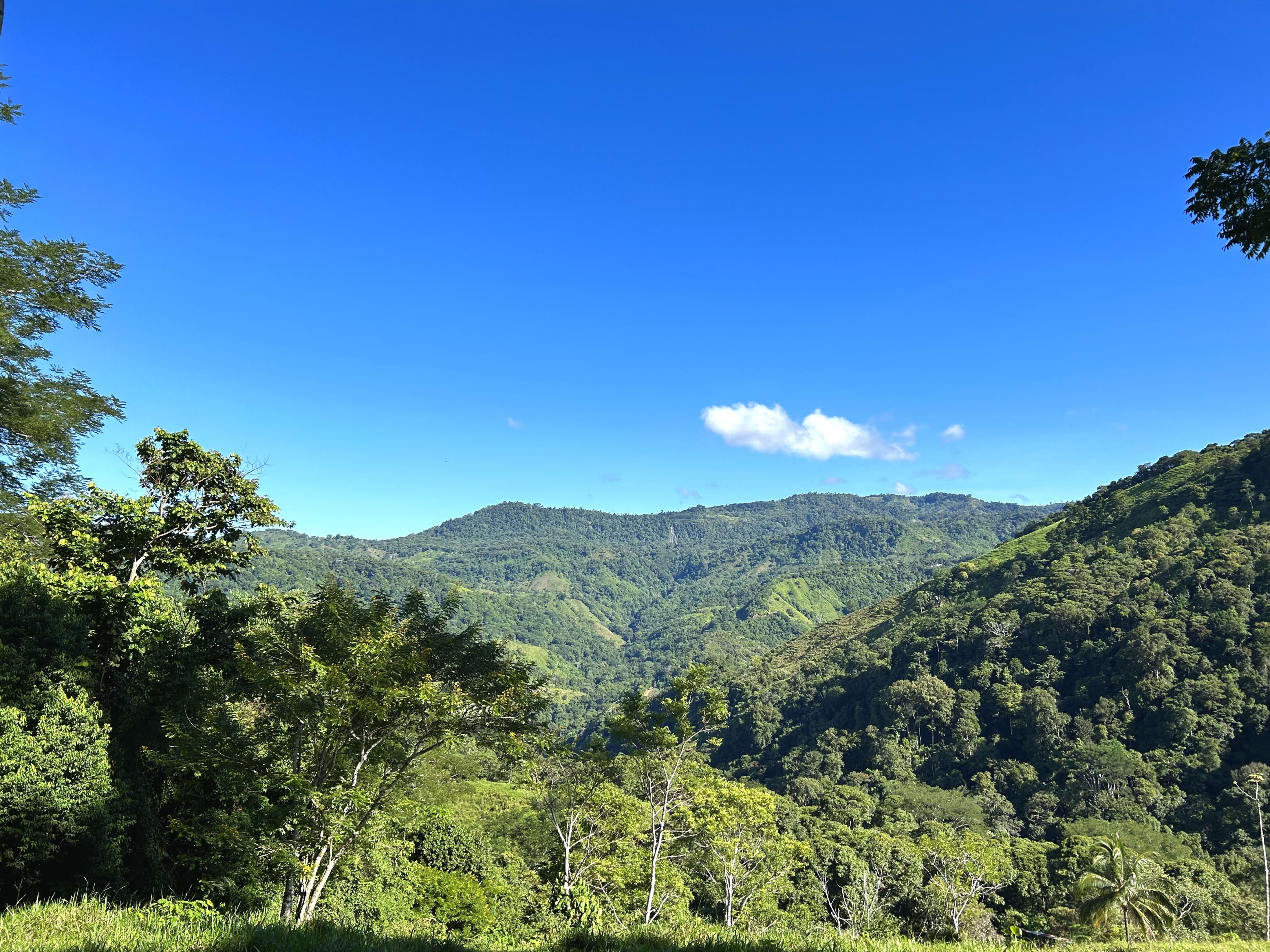 123-Acre Mountain Farm in San Josecito de Morete, Uvita in Uvita, Costa Rica