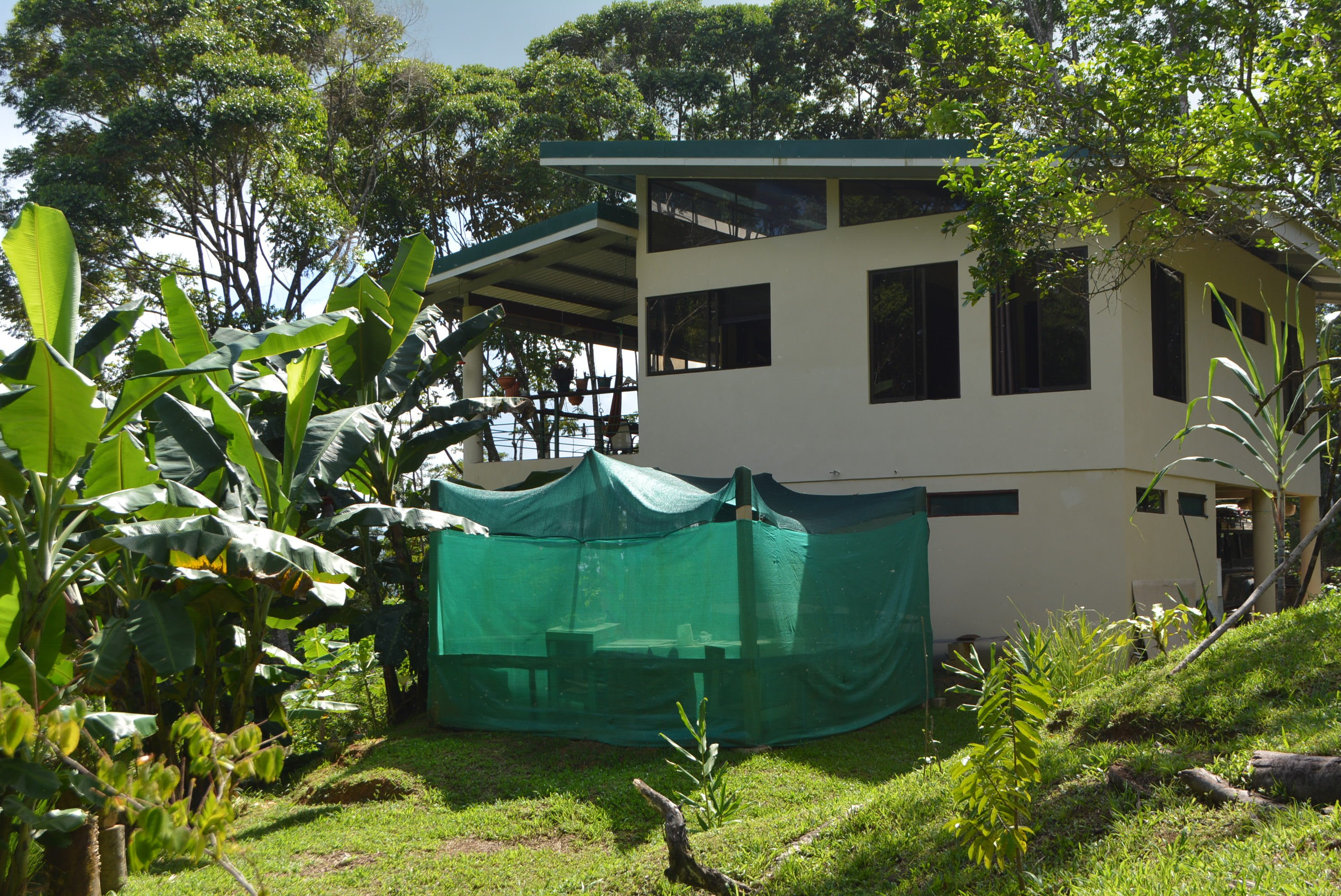 Mountain View Home in Punta Mira property photo 3