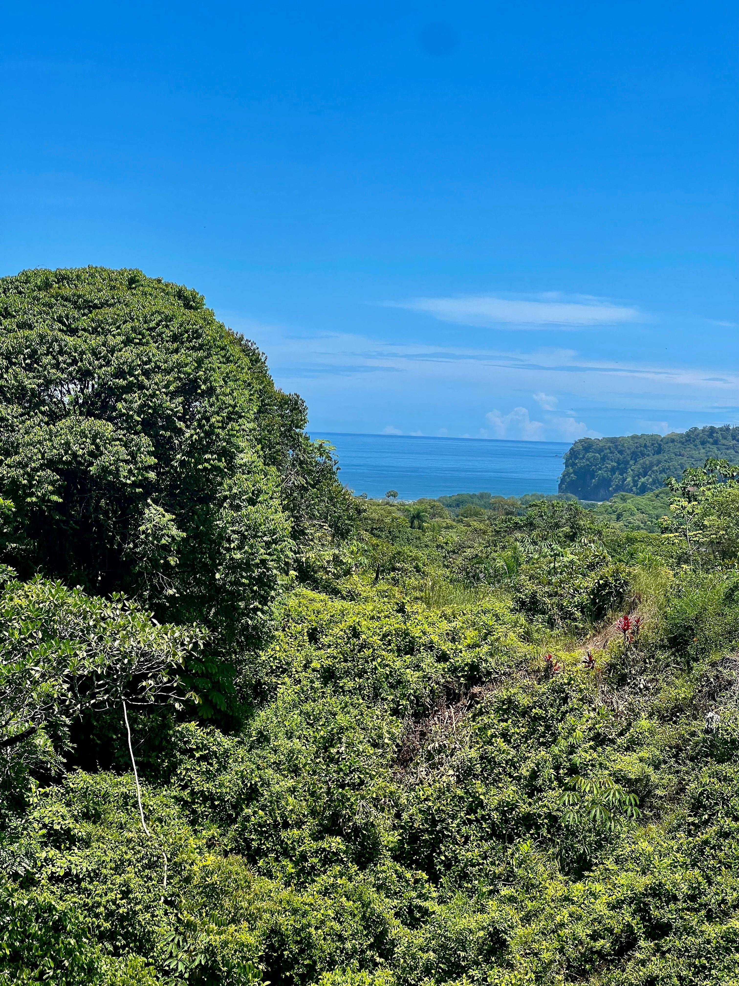 Development Lot on Calle Perezoso, Ojochal property photo 2