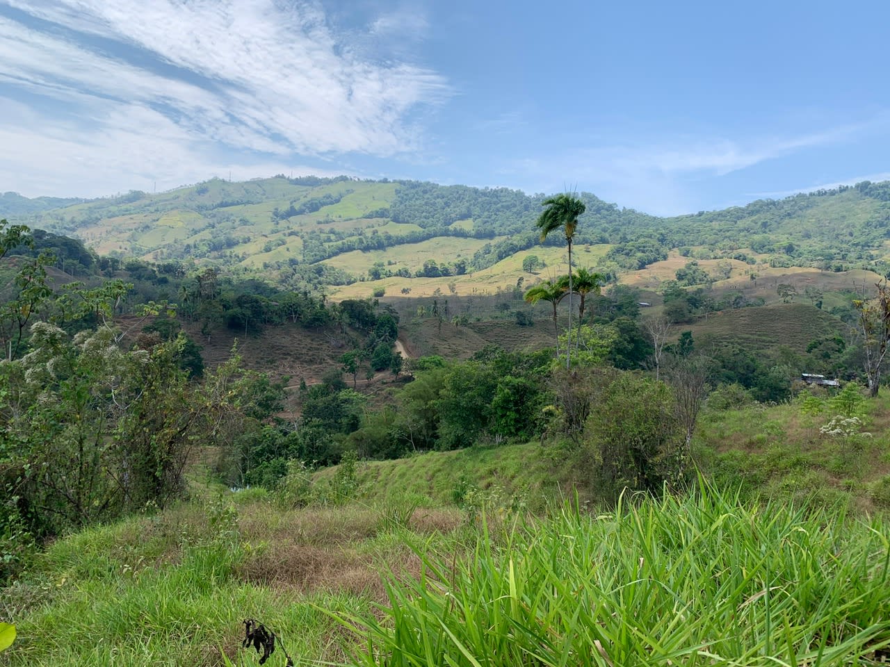 27.6-Acre River Estate Near Dominical property photo 3