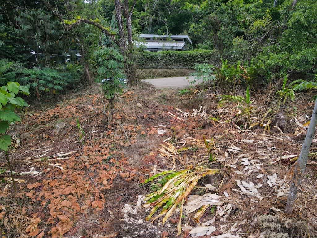 3-Acre Mountain View Lot with River Access and Legal Water in Ojochal property photo 5