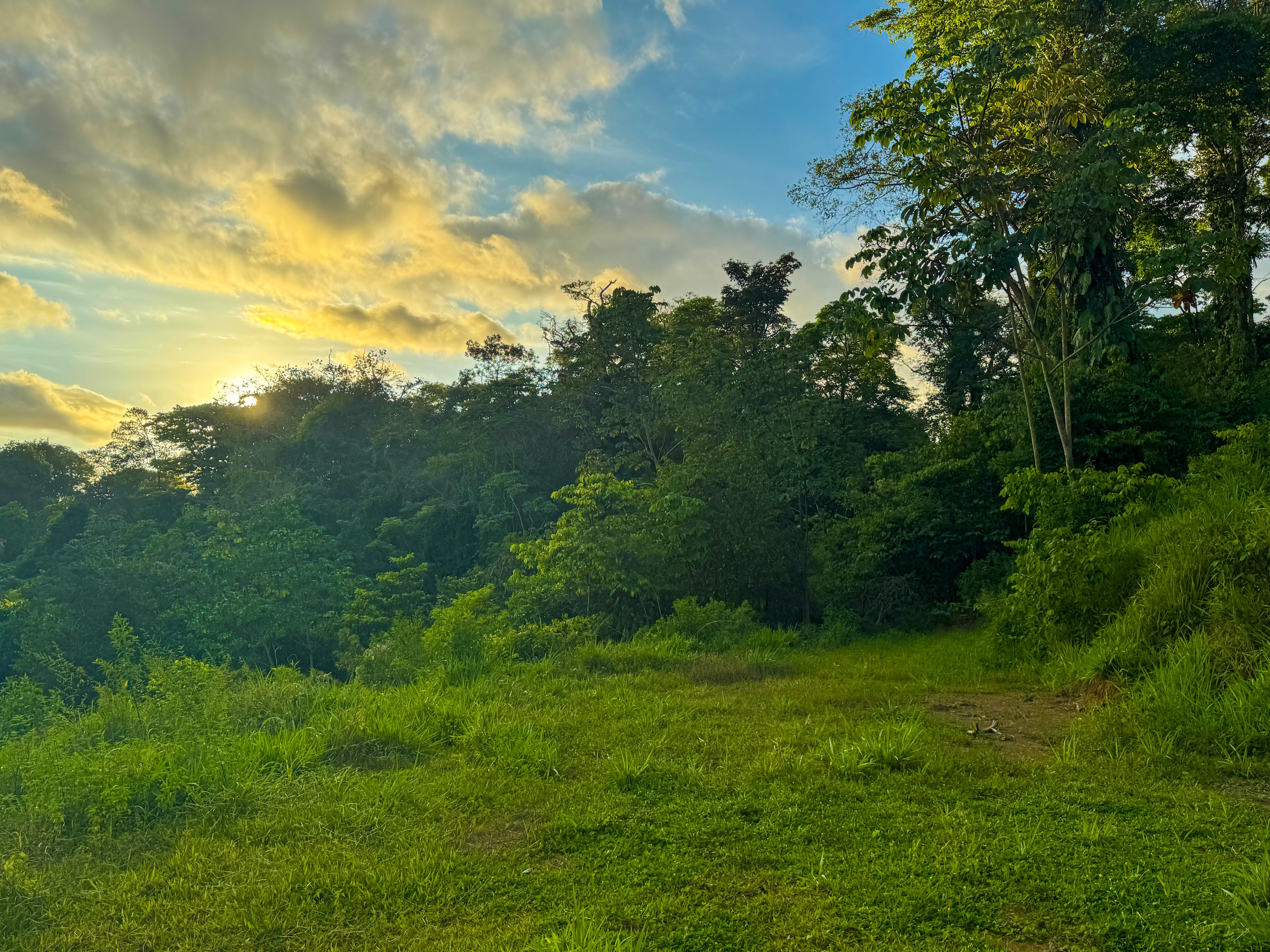 15.9-Acre Ocean View Land on La Union Road, Uvita property photo 4
