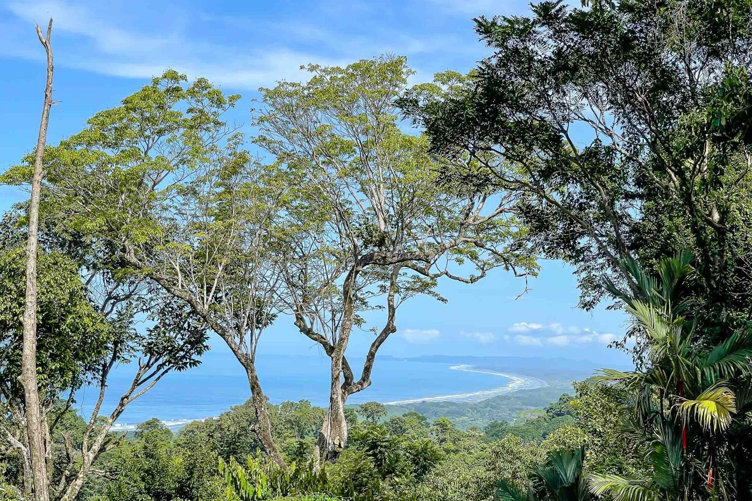 Ocean View Estate in Guapil Tropical Estates property photo 3
