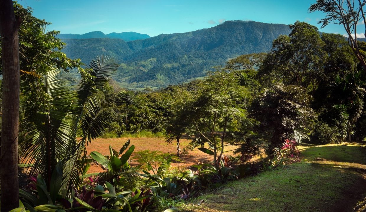 2-Acre Building Lot in Platanillo in Dominical, Costa Rica