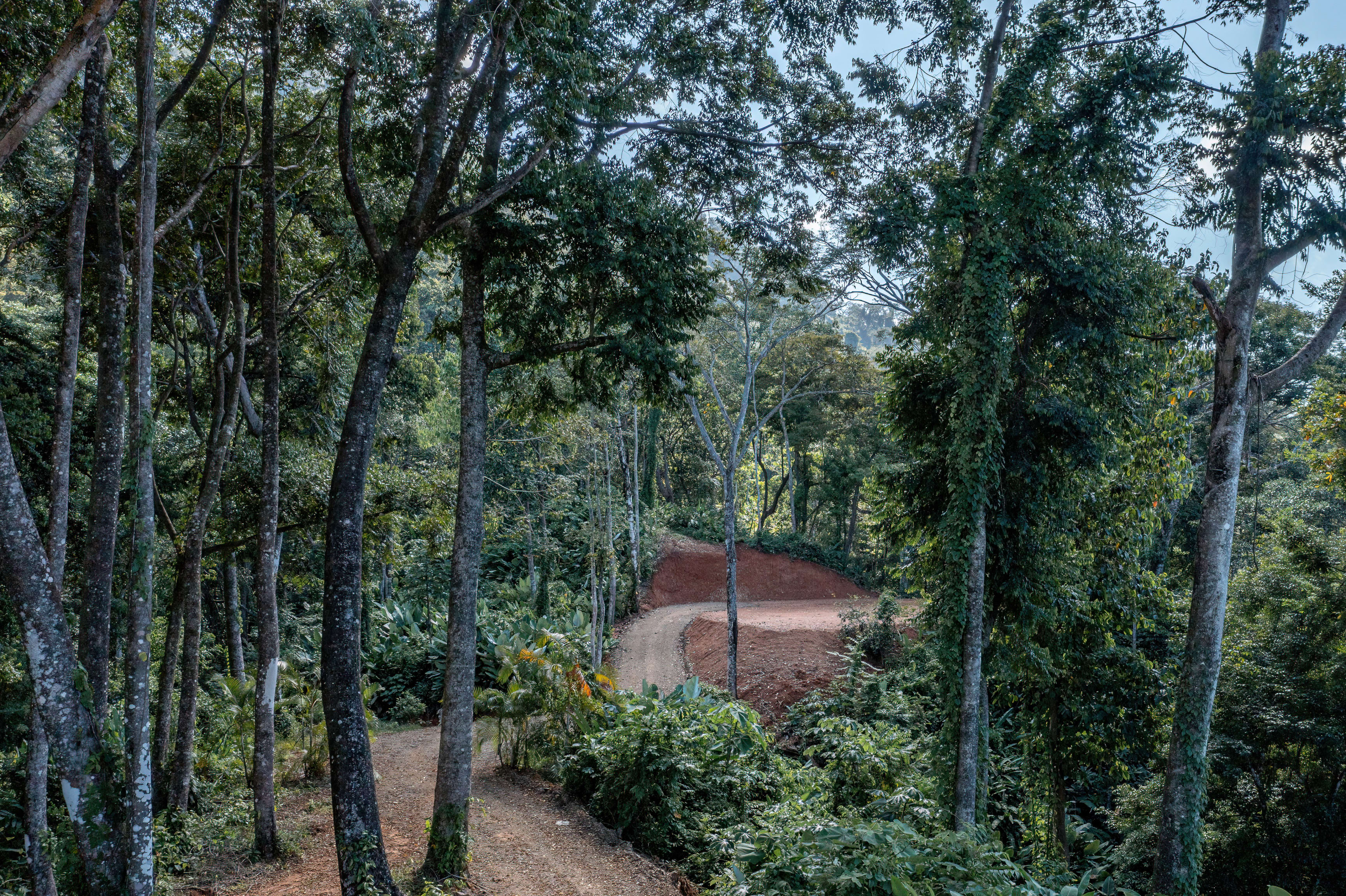 Ocean View Land (Lot 3) in Paradise Breezes, Hatillo property photo 3