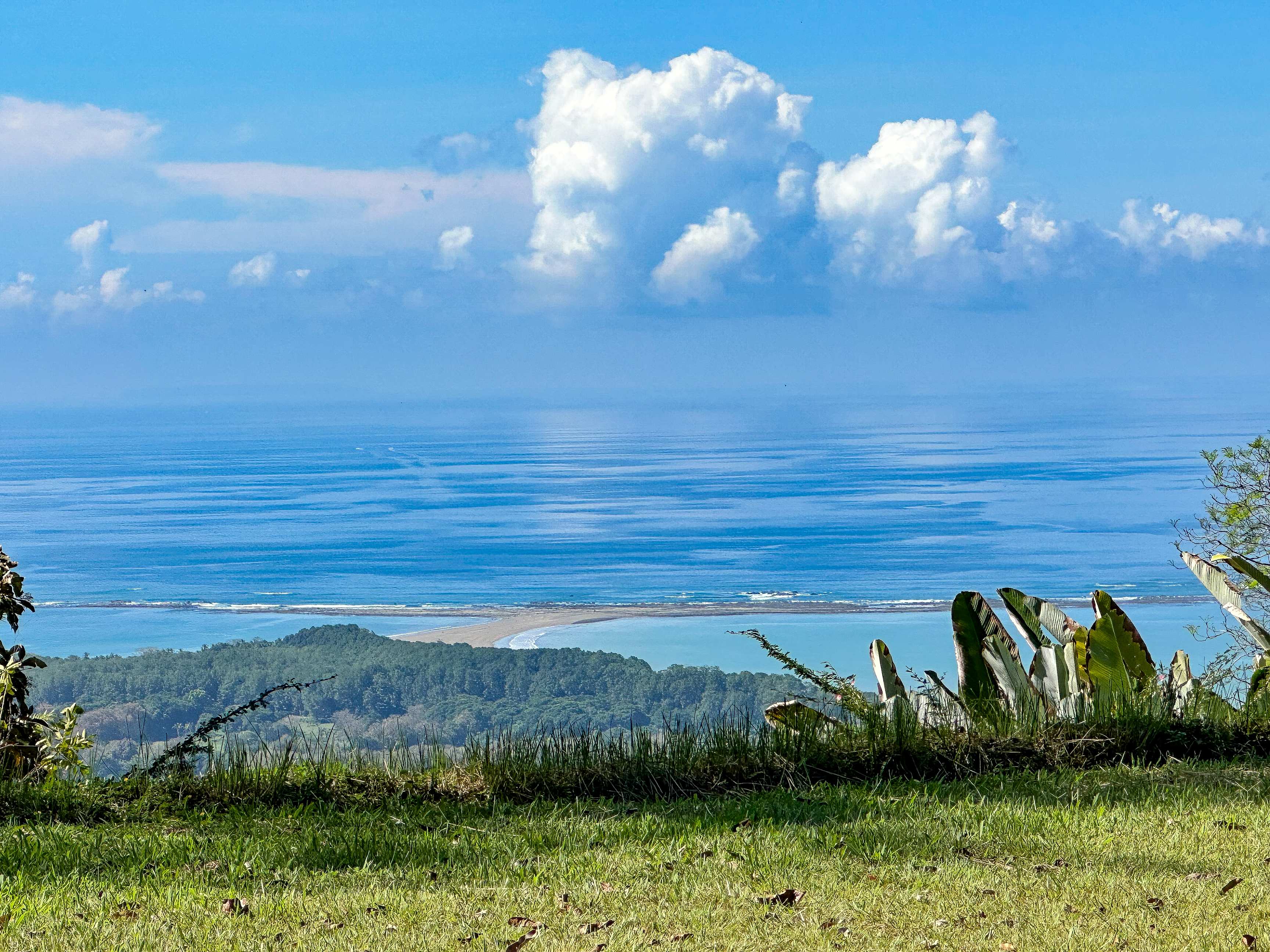 1.5-Acre Jungle Lot in Uvita property photo 5