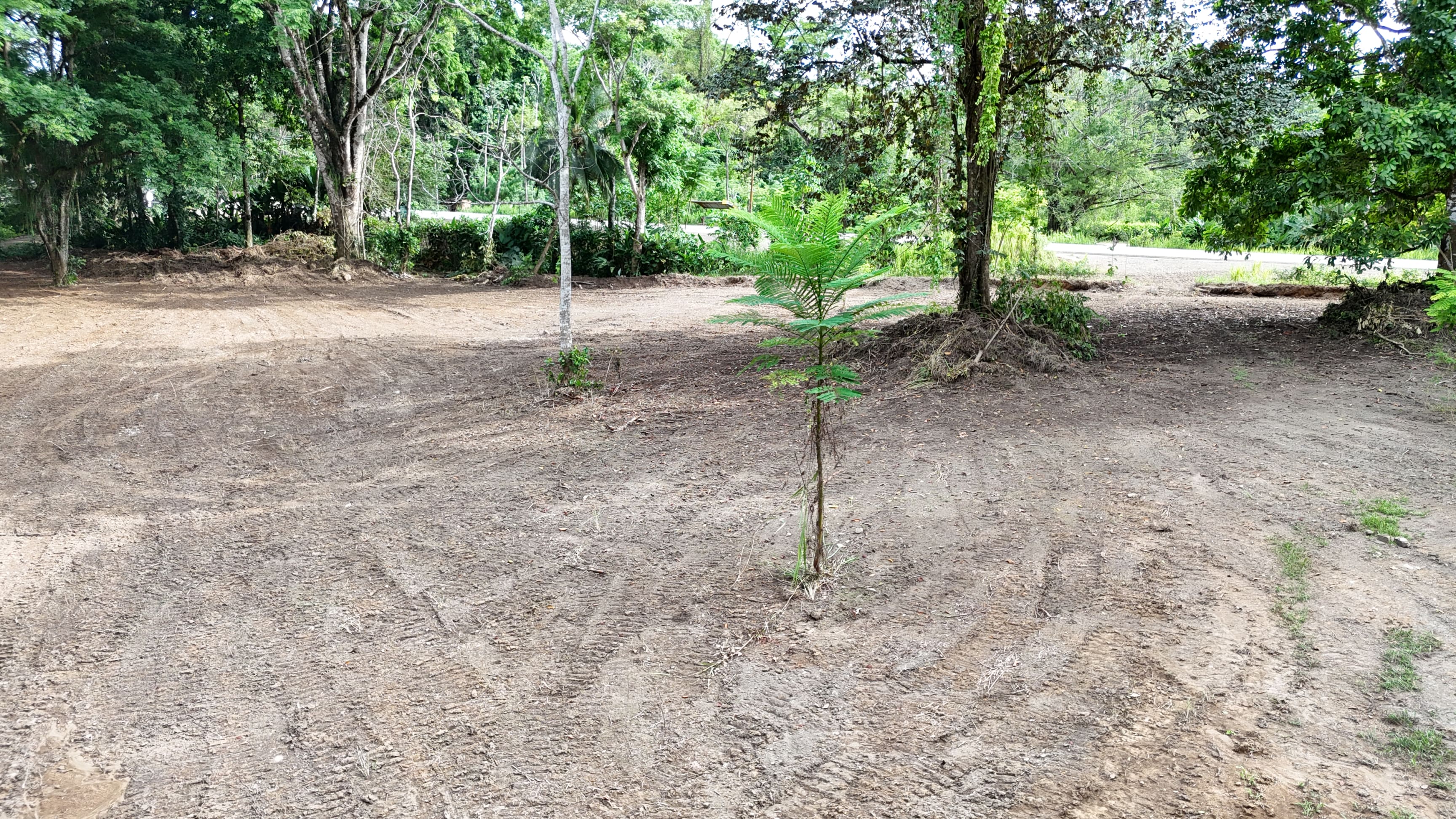 4-Acre Commercial Land on Main Highway, Vergel property photo 4