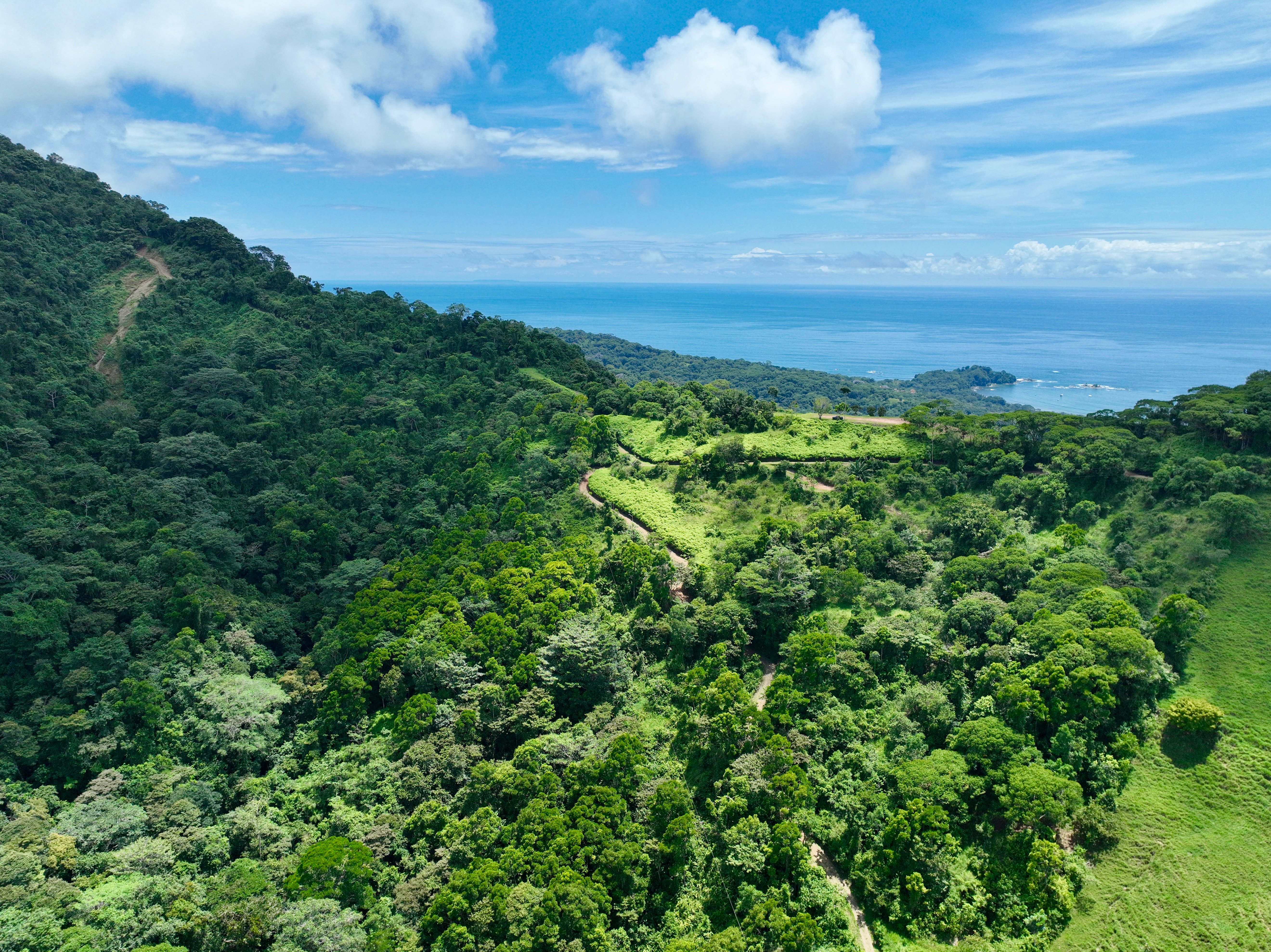 60-Hectare Farm Estate in Escaleras, Dominical property photo 2
