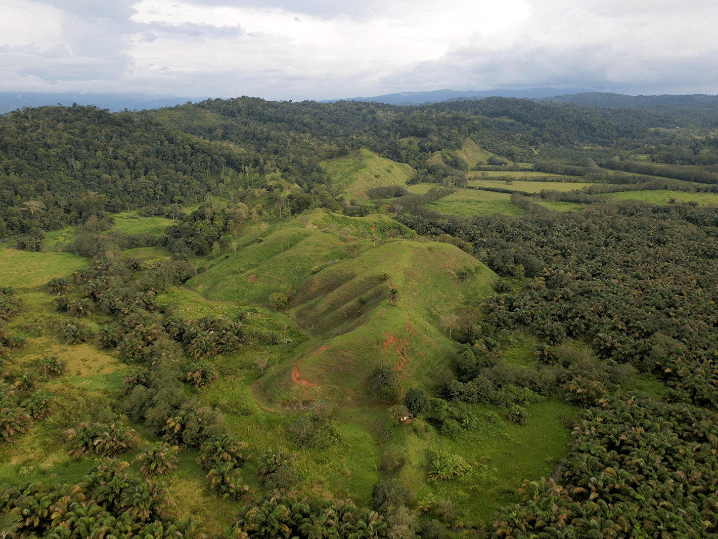 382-Acre Riverfront Ranch on the Rio Sierpe in Ojochal, Costa Rica