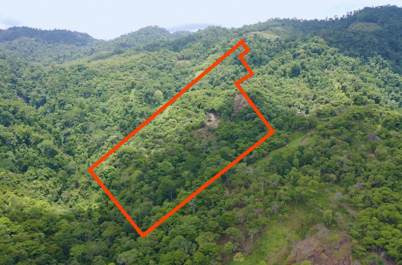 42-Acre Jungle Estate in Silencio property photo 3