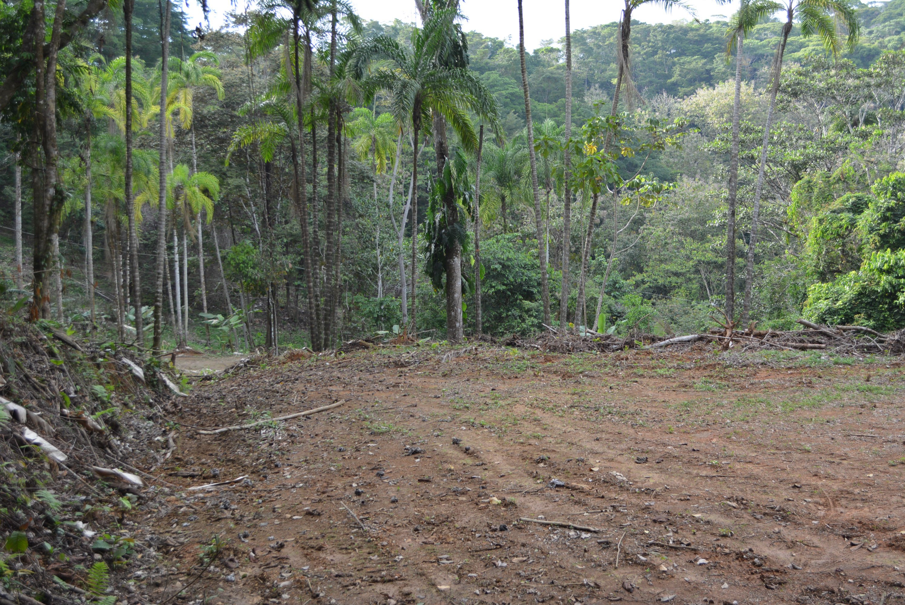 5 Building Lots in Lagunas, Near Dominical property photo 3