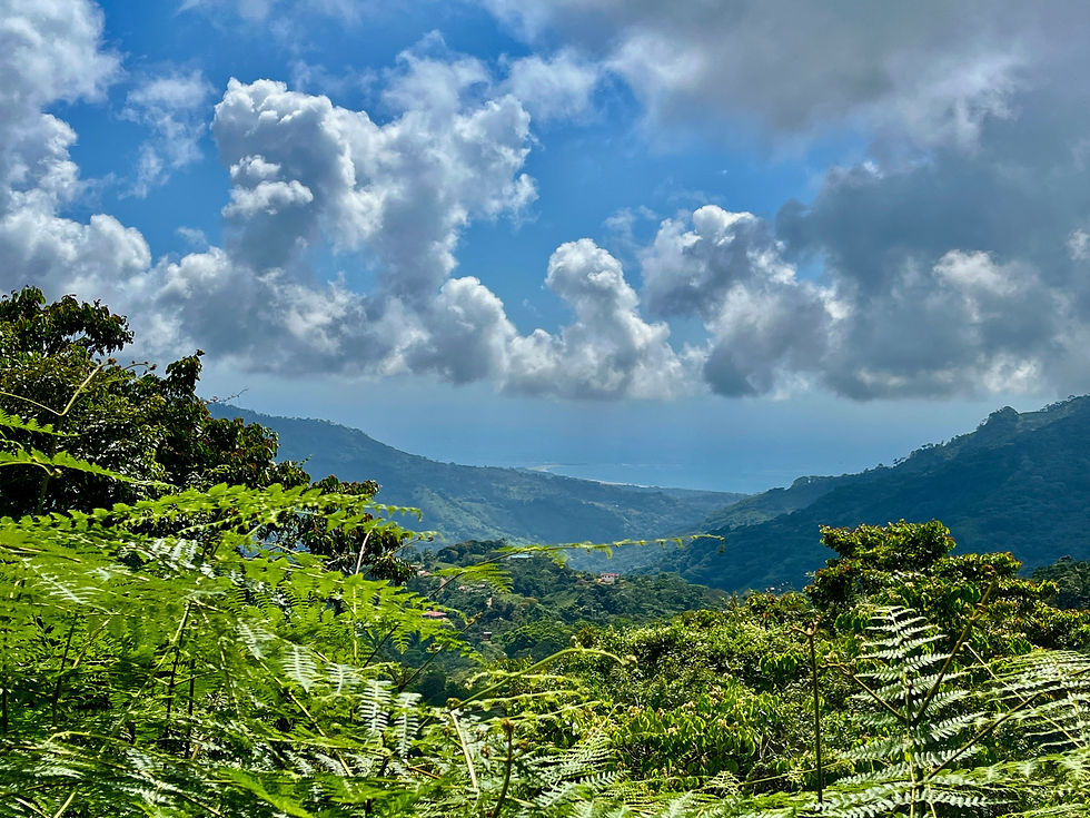 Thumbnail: 7-Acre Ocean & Mountain View Land in Uvita | 3 Building Sites