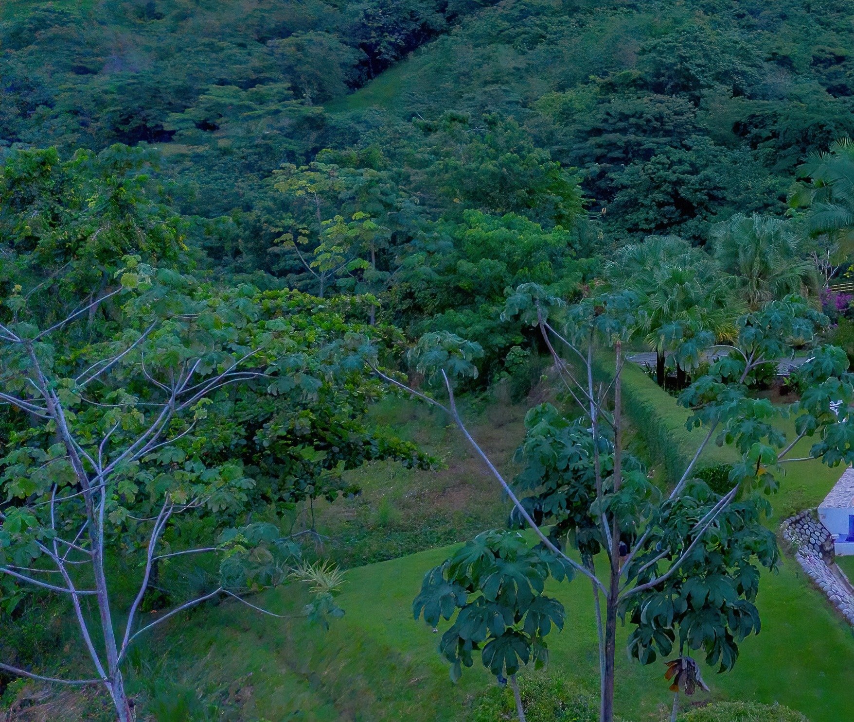 Ocean and Mountain View Lot in Ojochal Phase 11 property photo 4