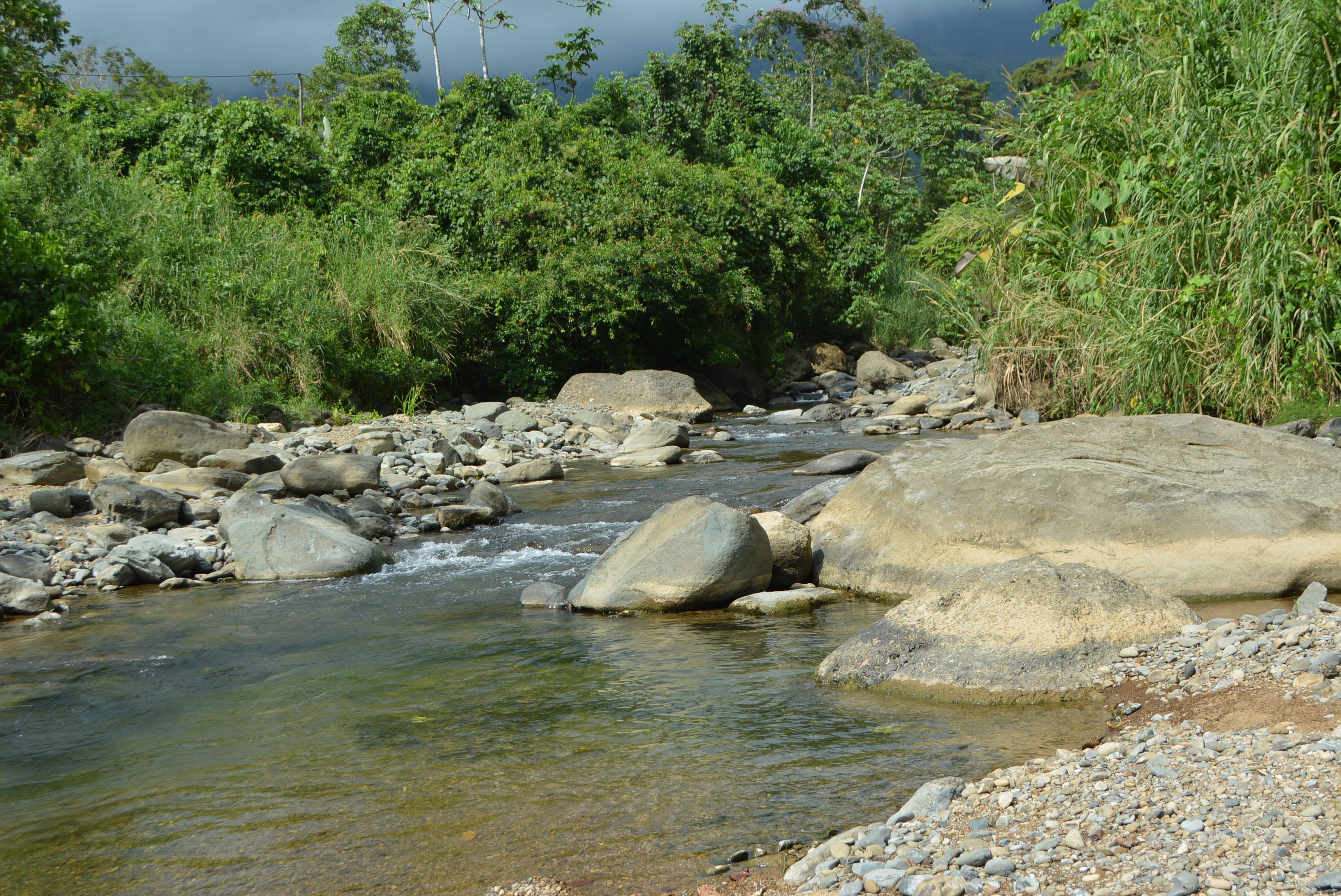 73-Acre River Front Farm Near Dominical in Dominical, Costa Rica