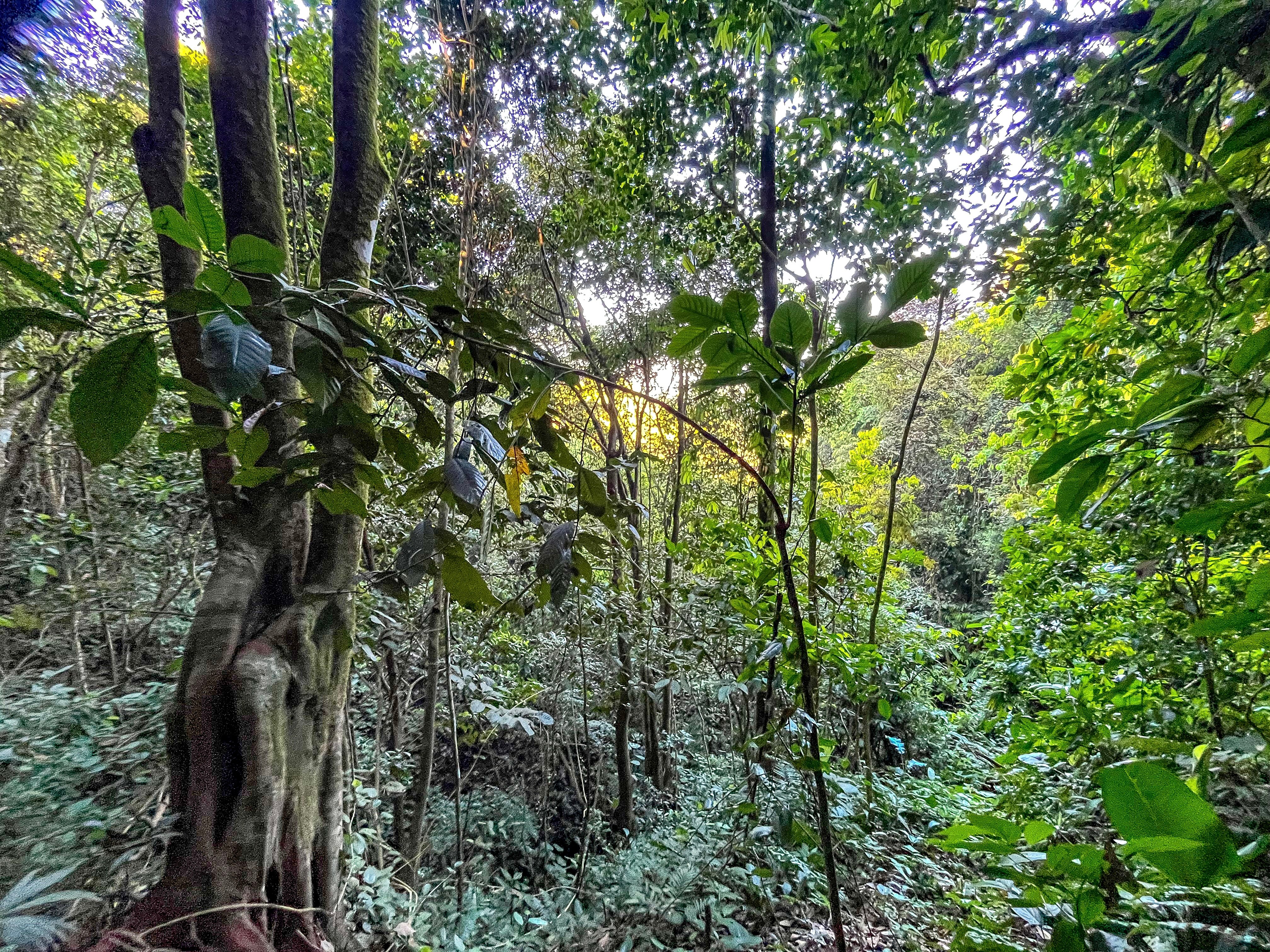 7-Acre Unrestricted Land in Pura Vida Falls, Dominical in Dominical, Costa Rica