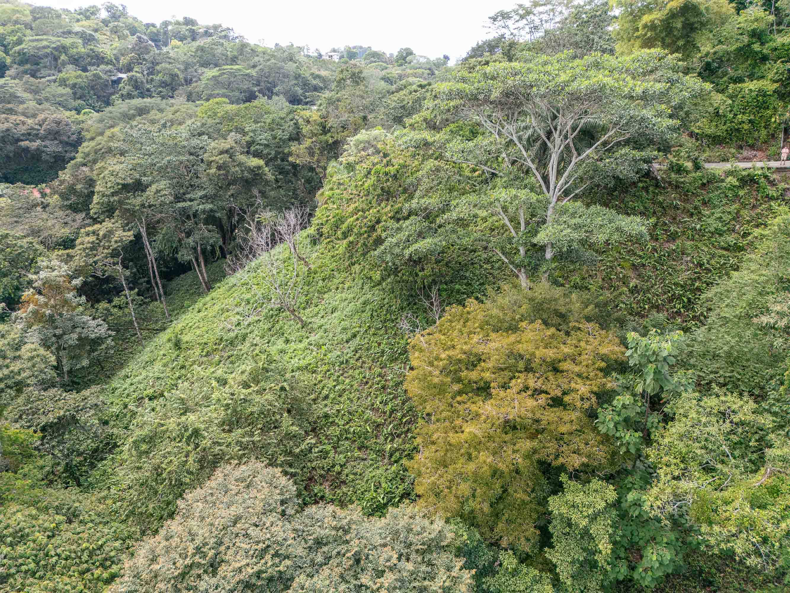 3-Acre Development Land with Stream Frontage, Manuel Antonio property photo 2
