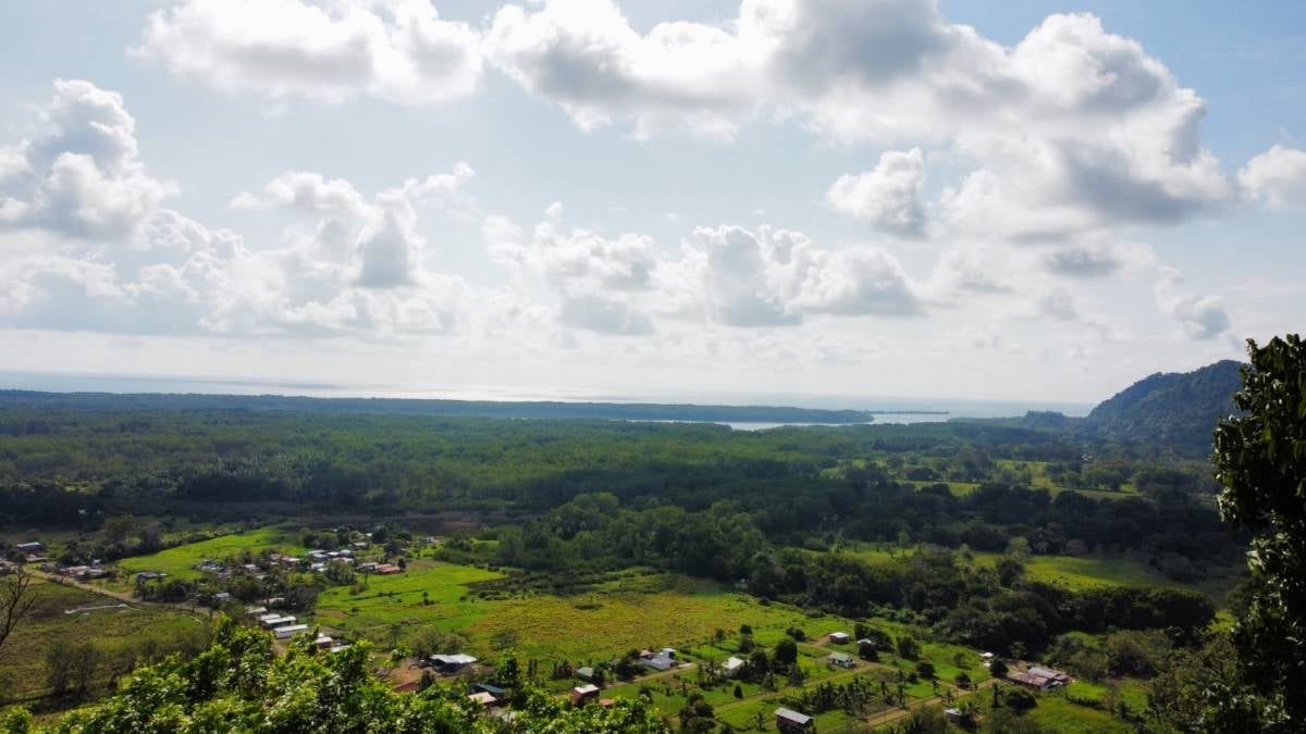 Ocean View Land in Ojochal property photo 4