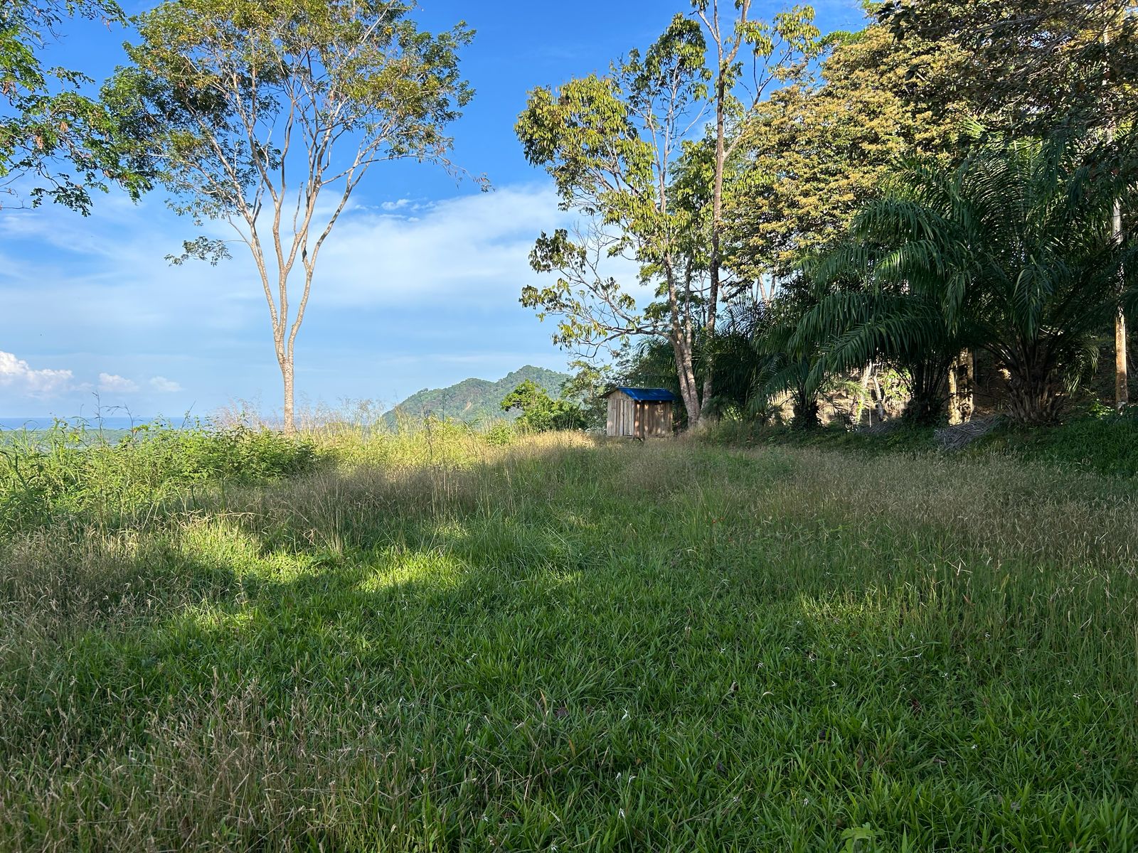 13-Acre Private Land in San Buenas de Osa property photo 3