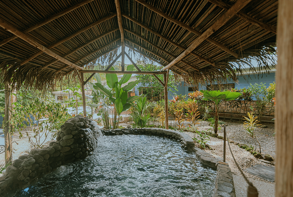 Thumbnail: Turnkey Boutique Hotel in Manuel Antonio | 12 Bed
