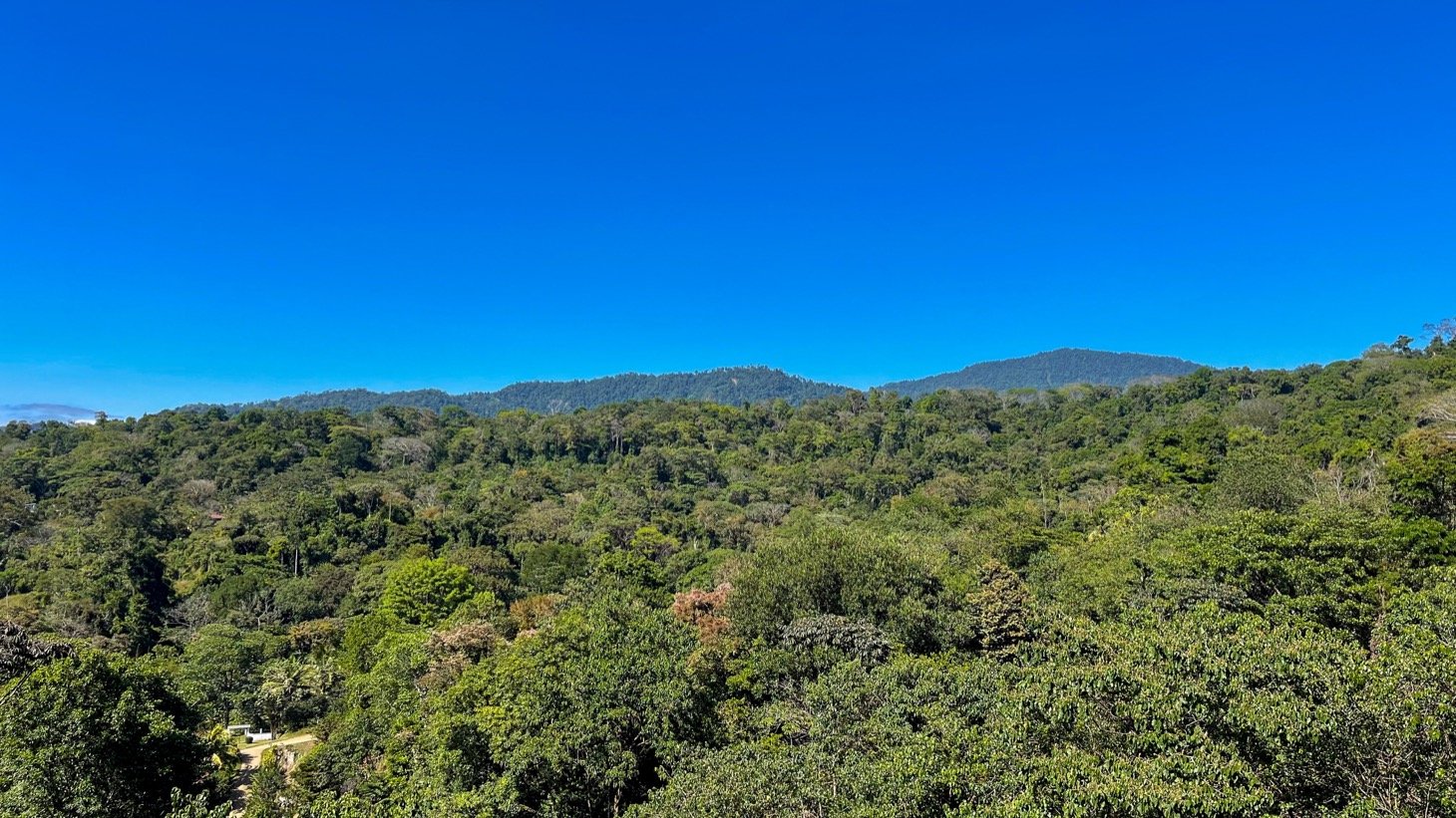Mountain View Land in Las Brisas, Uvita property photo 5