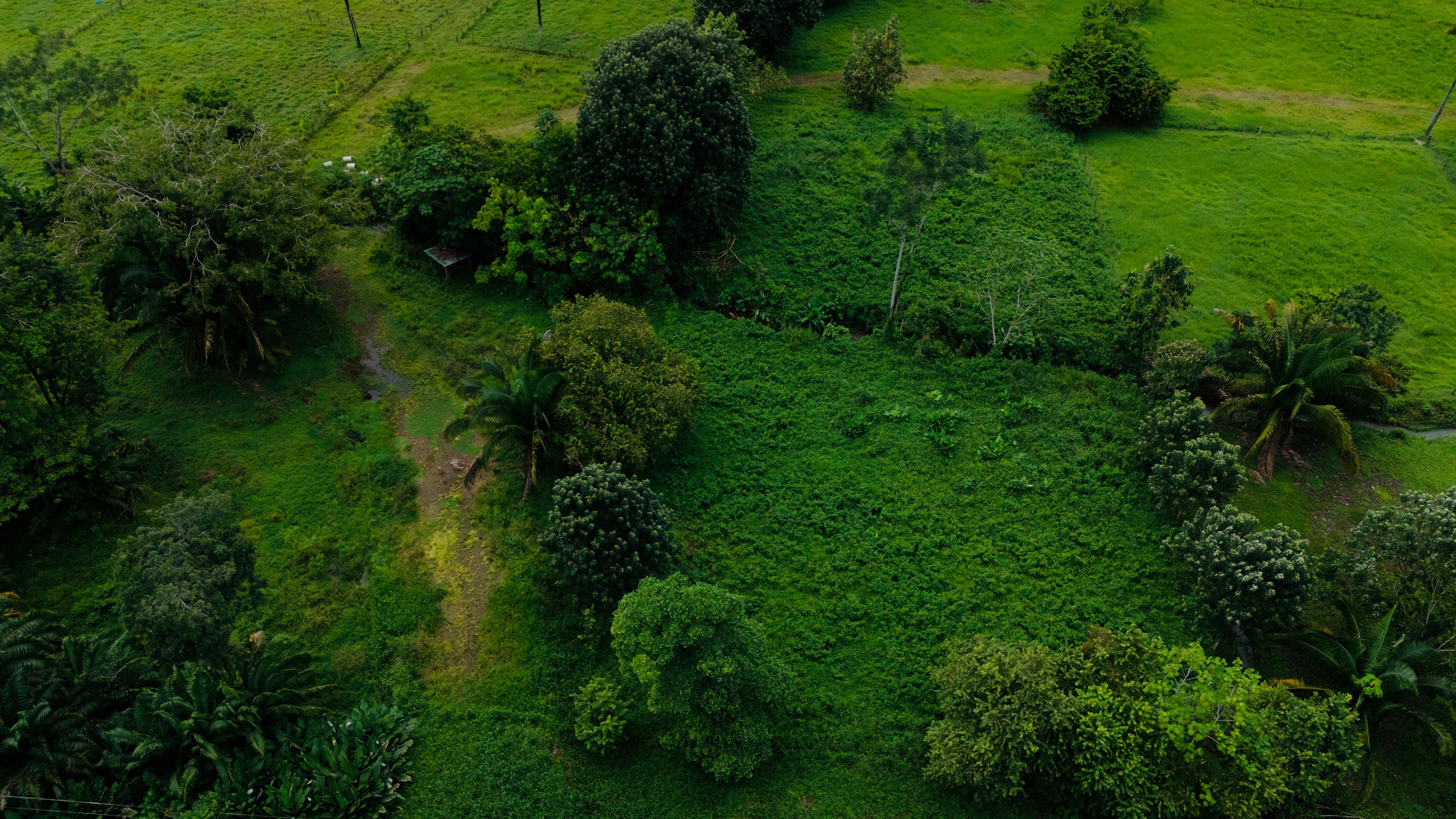Commercial Land on Uvita’s Main Highway property photo 4