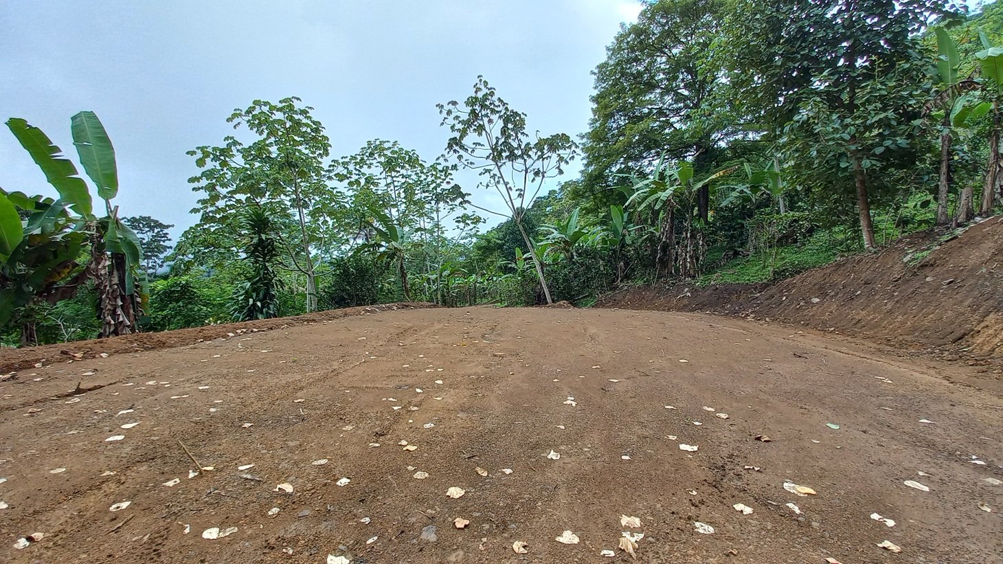 Mountain View Land in San Luis, Above Uvita property photo 5